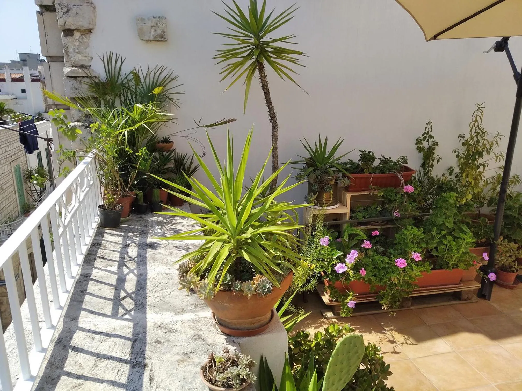 Garden in Attica B&B