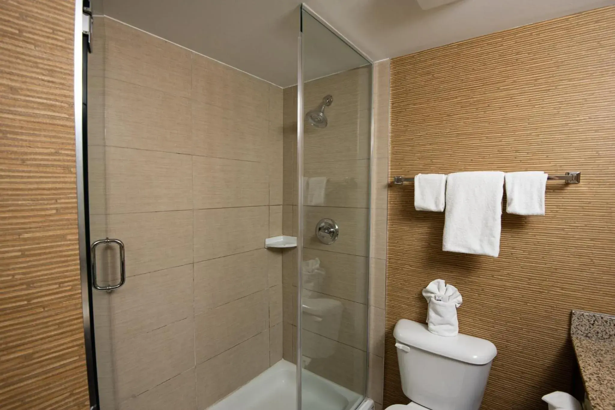 King Room - Disability Access in Holiday Inn Express Hotel & Suites Chatham South by IHG King Room - Disability Access in Holiday Inn Express Hotel & Suites Chatham South by IHG