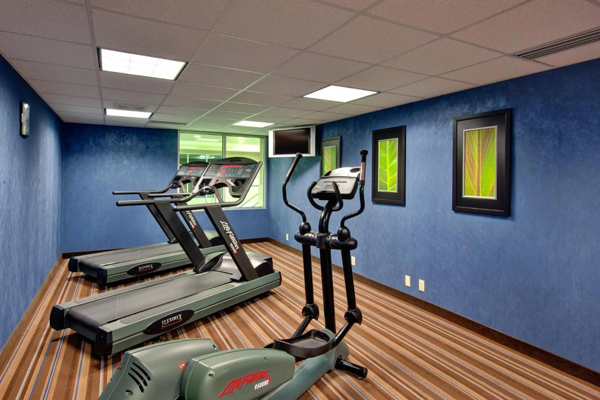 Fitness centre/facilities in Holiday Inn Express Hotel & Suites Chatham South by IHG