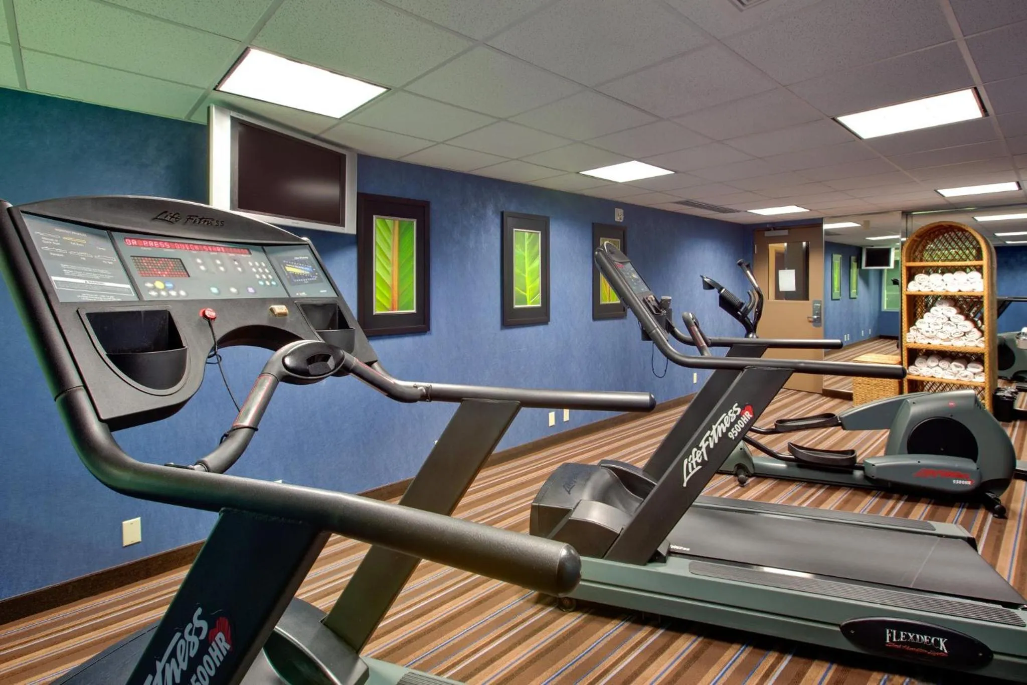 Fitness centre/facilities in Holiday Inn Express Hotel & Suites Chatham South by IHG