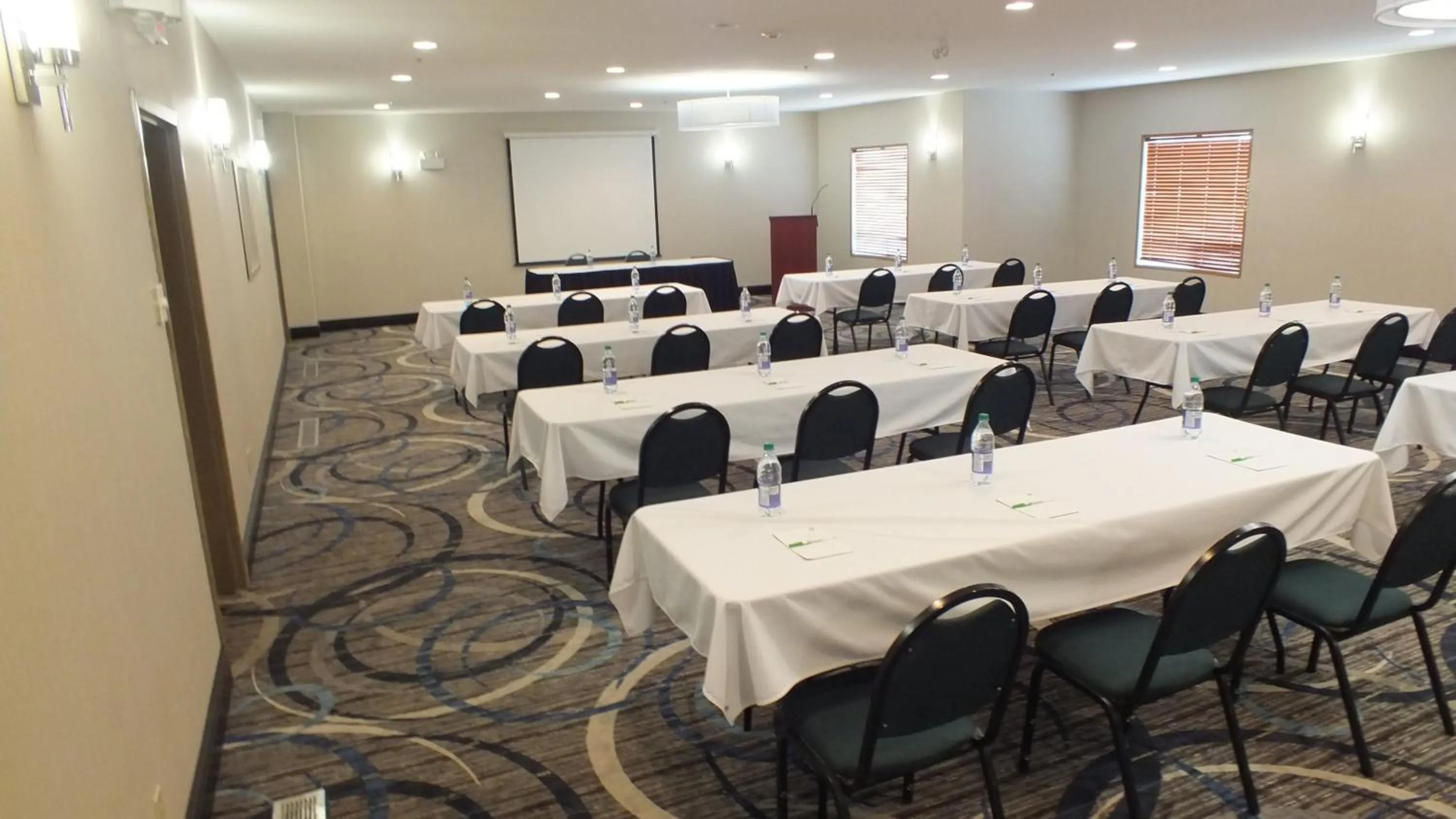 Meeting/conference room in Holiday Inn Hotel & Suites Regina by IHG