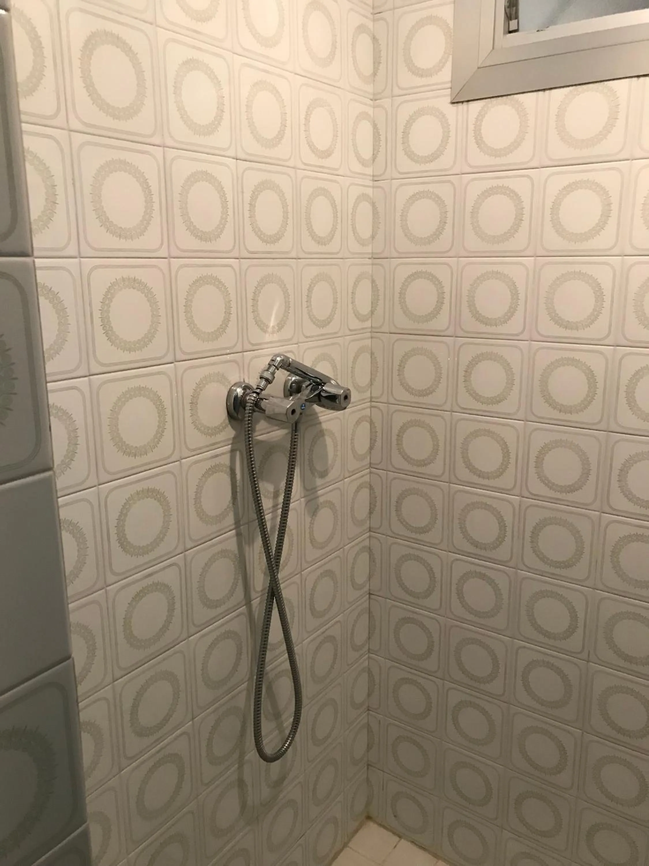 Shower in Hostal Casiano Camarasa