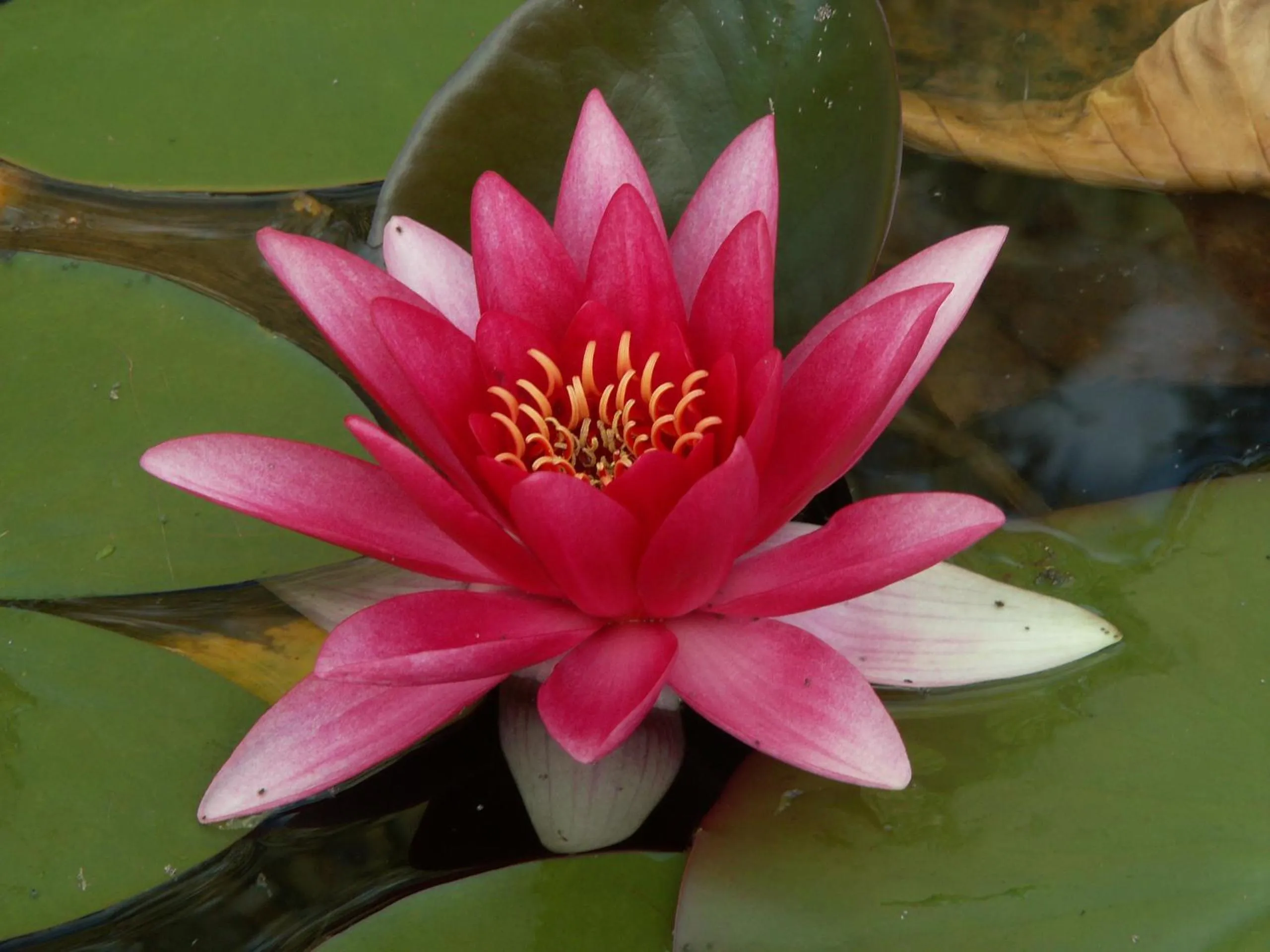 Decorative detail in Jasper Way Inn Resort & Campground