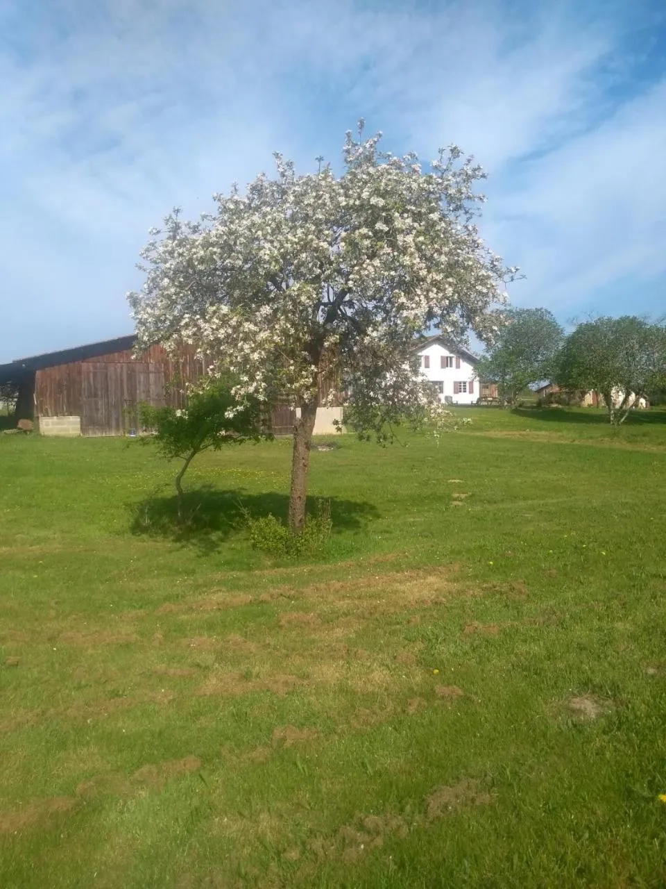 Natural landscape in La maison de pescate