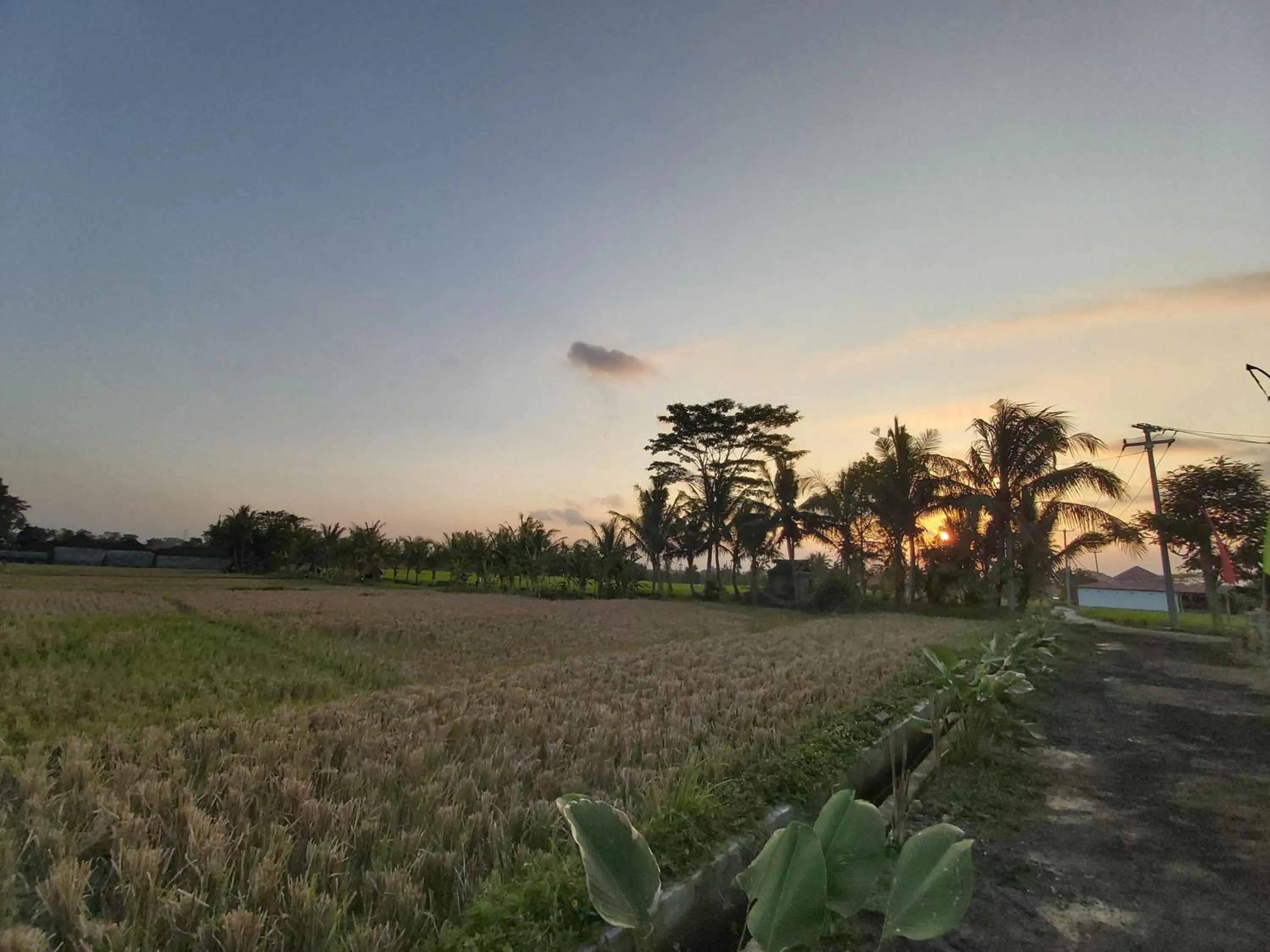 Natural landscape in Ayuna Family Ubud