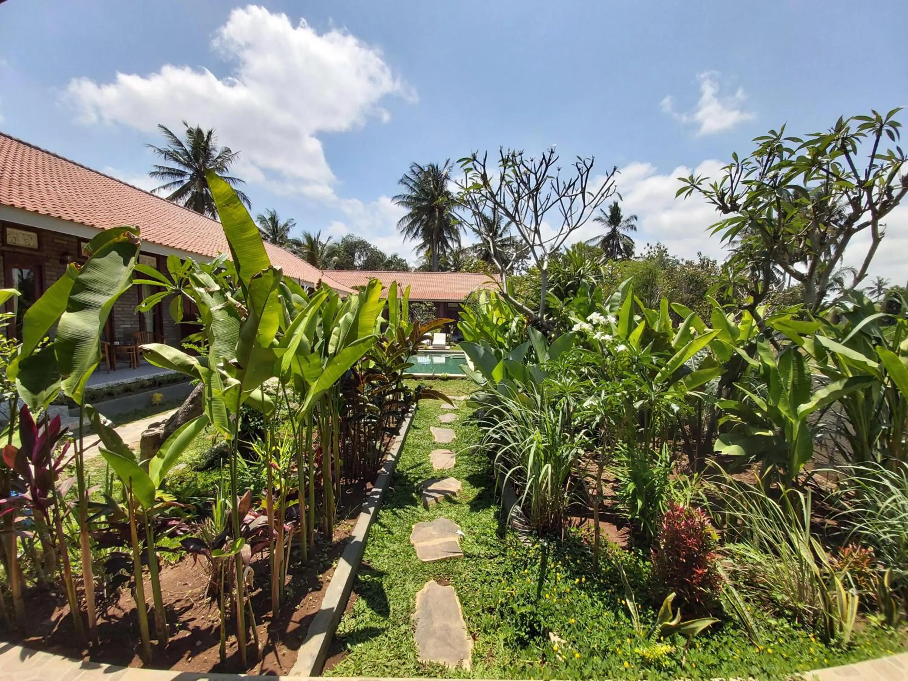 Garden view in Ayuna Family Ubud