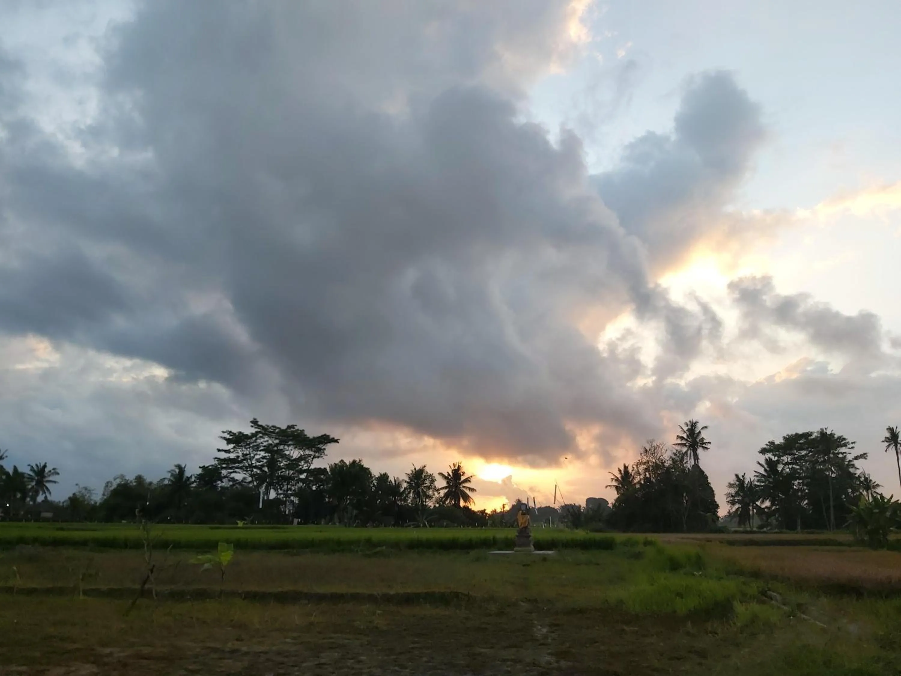 Natural landscape in Ayuna Family Ubud