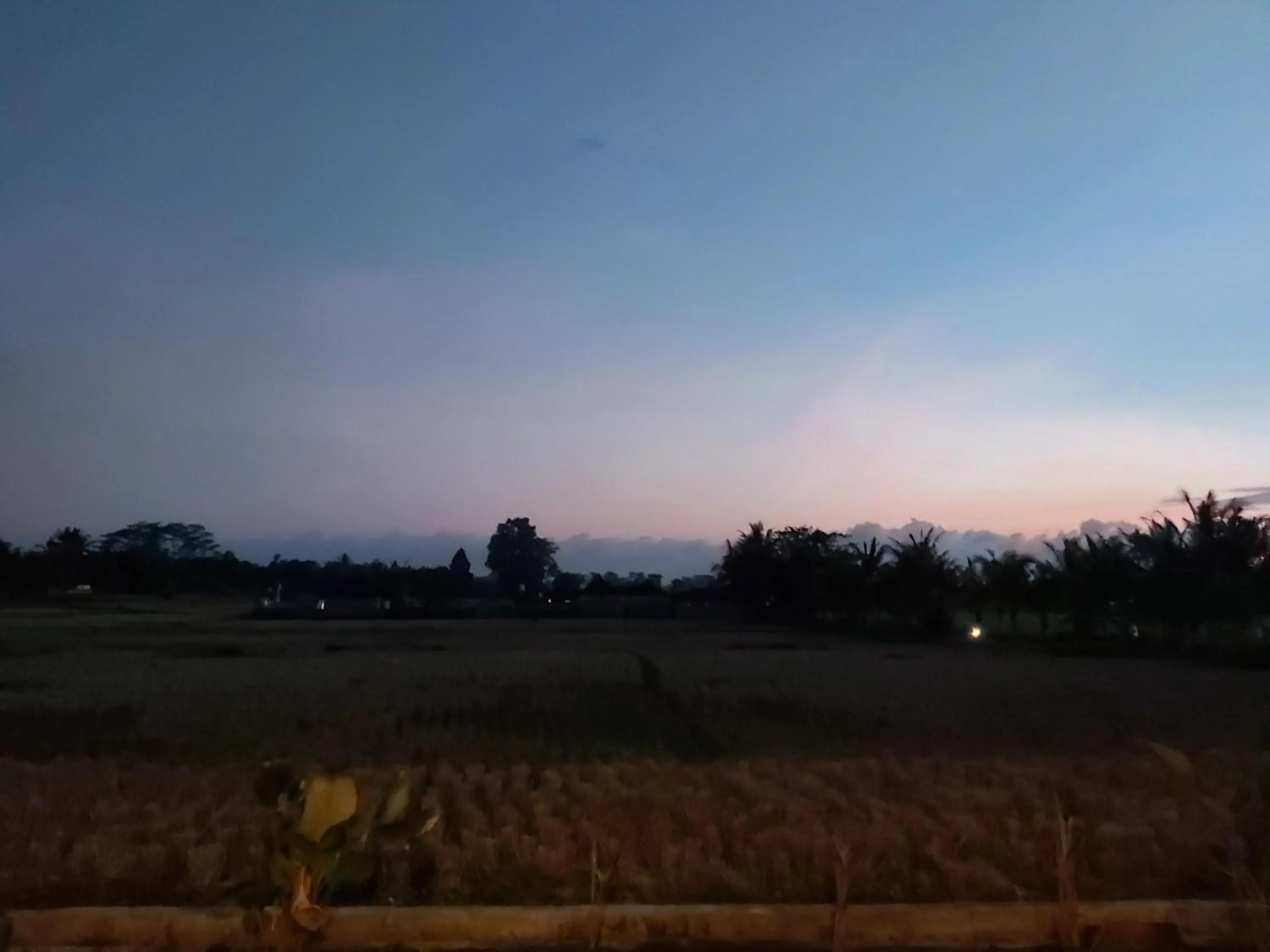 Natural landscape in Ayuna Family Ubud