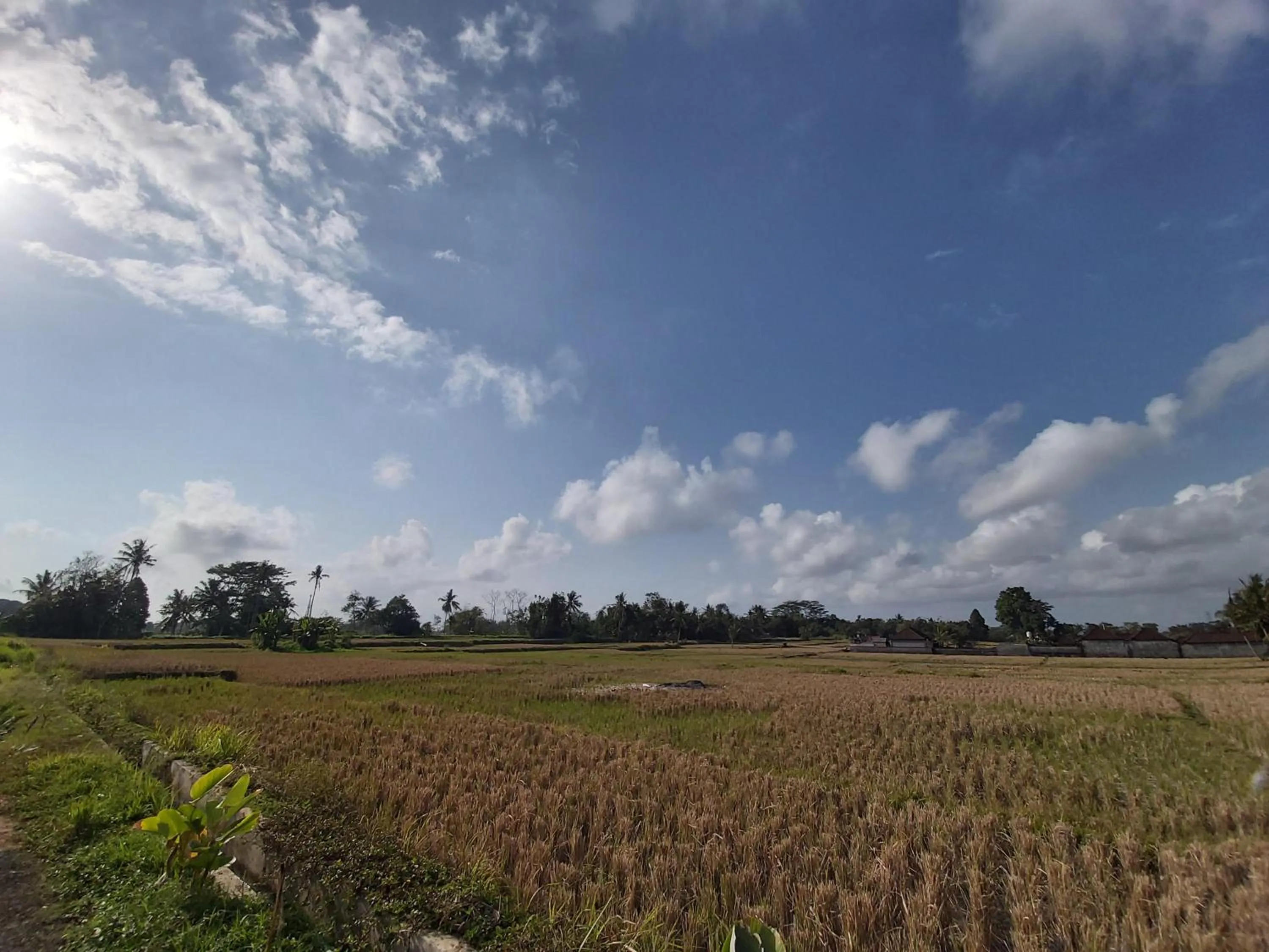 Natural landscape in Ayuna Family Ubud