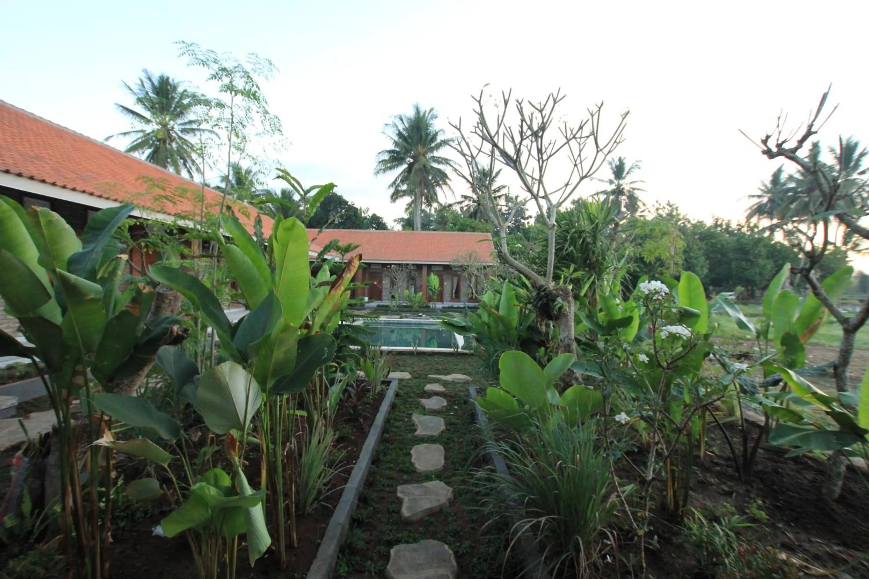 Property building in Ayuna Family Ubud