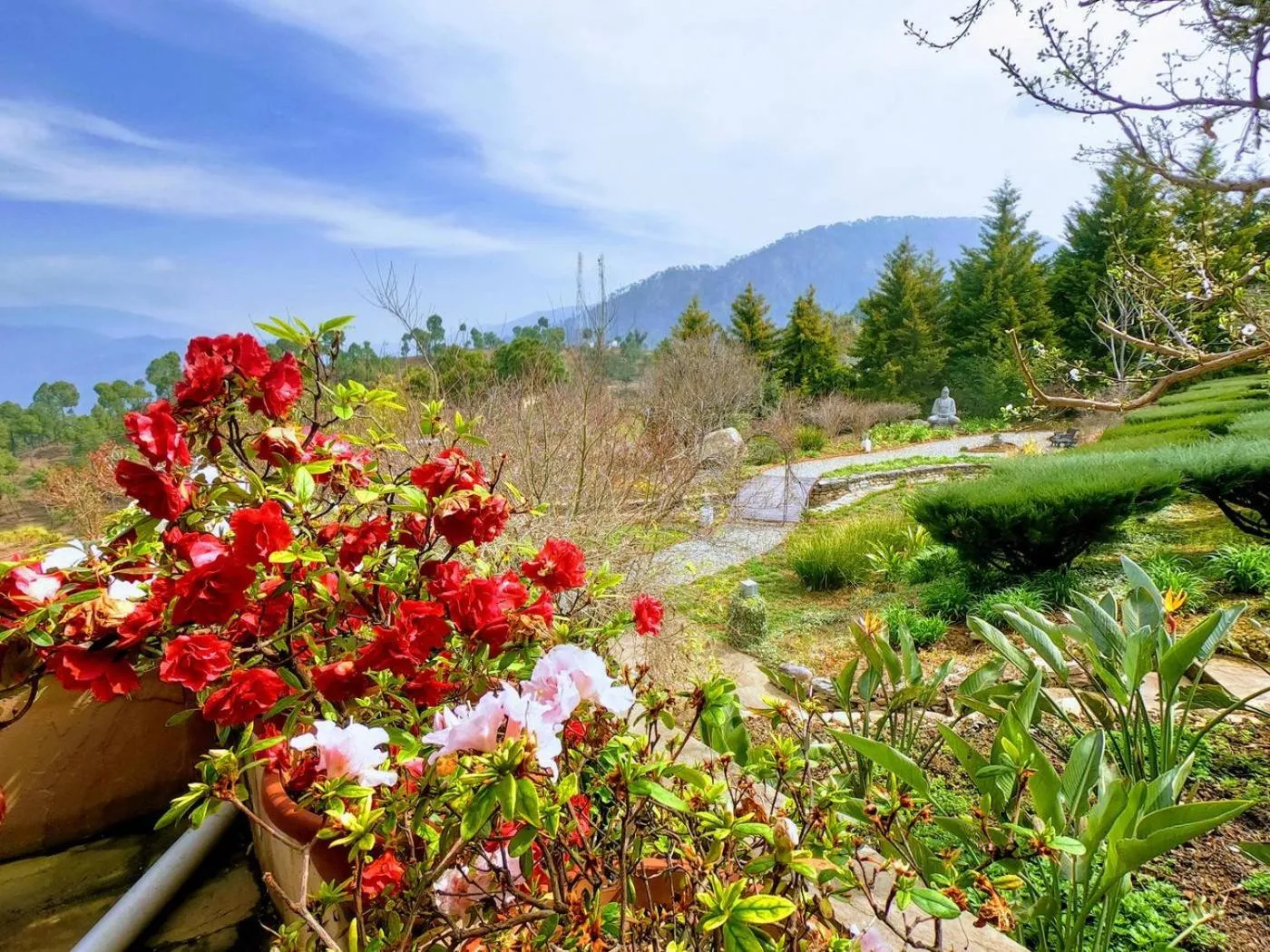 Natural landscape in Tree of Life Junoon in the Hills Kumaon