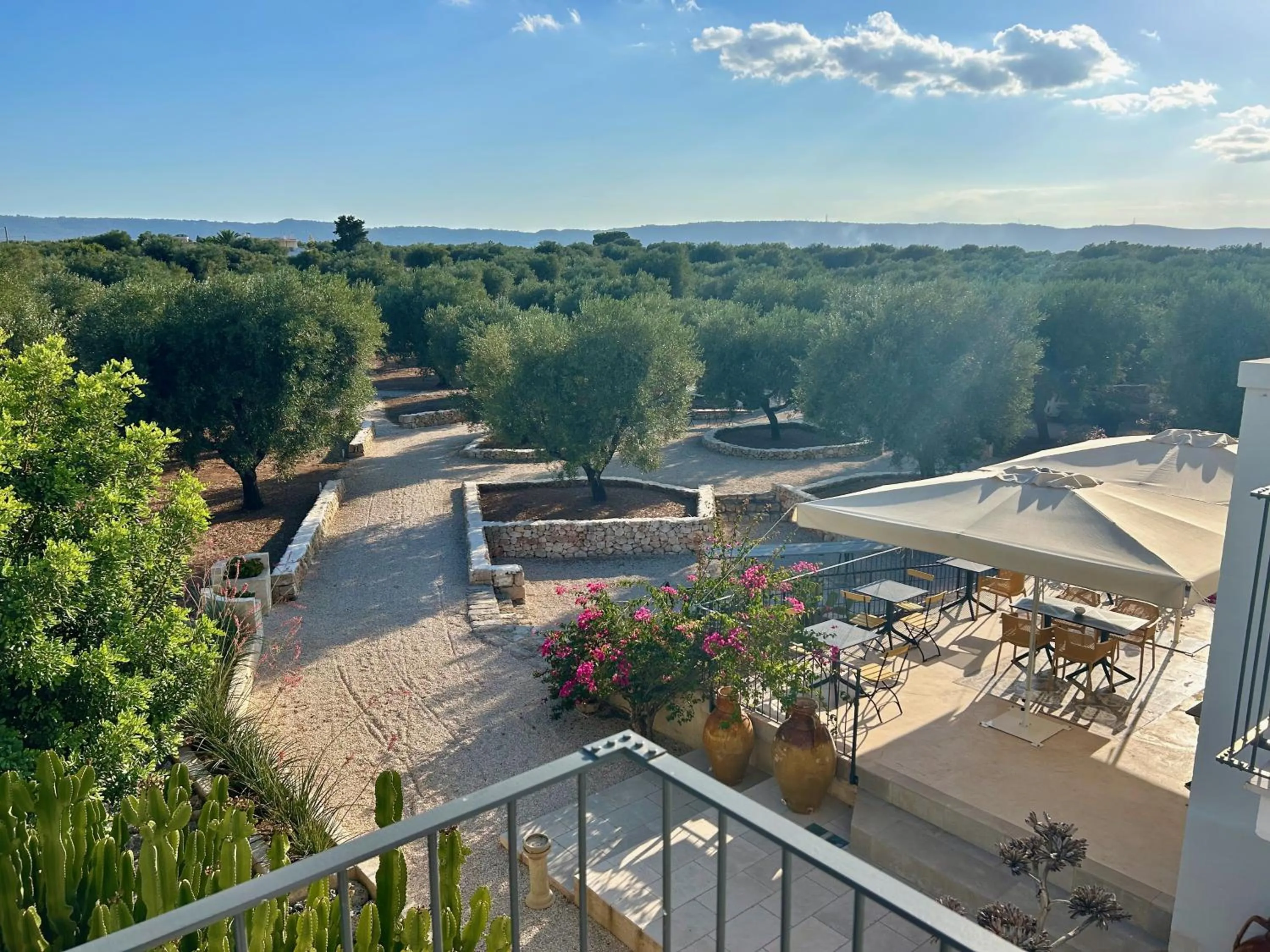 View (from property/room) in Boutique Hotel Masseria Sottomasi