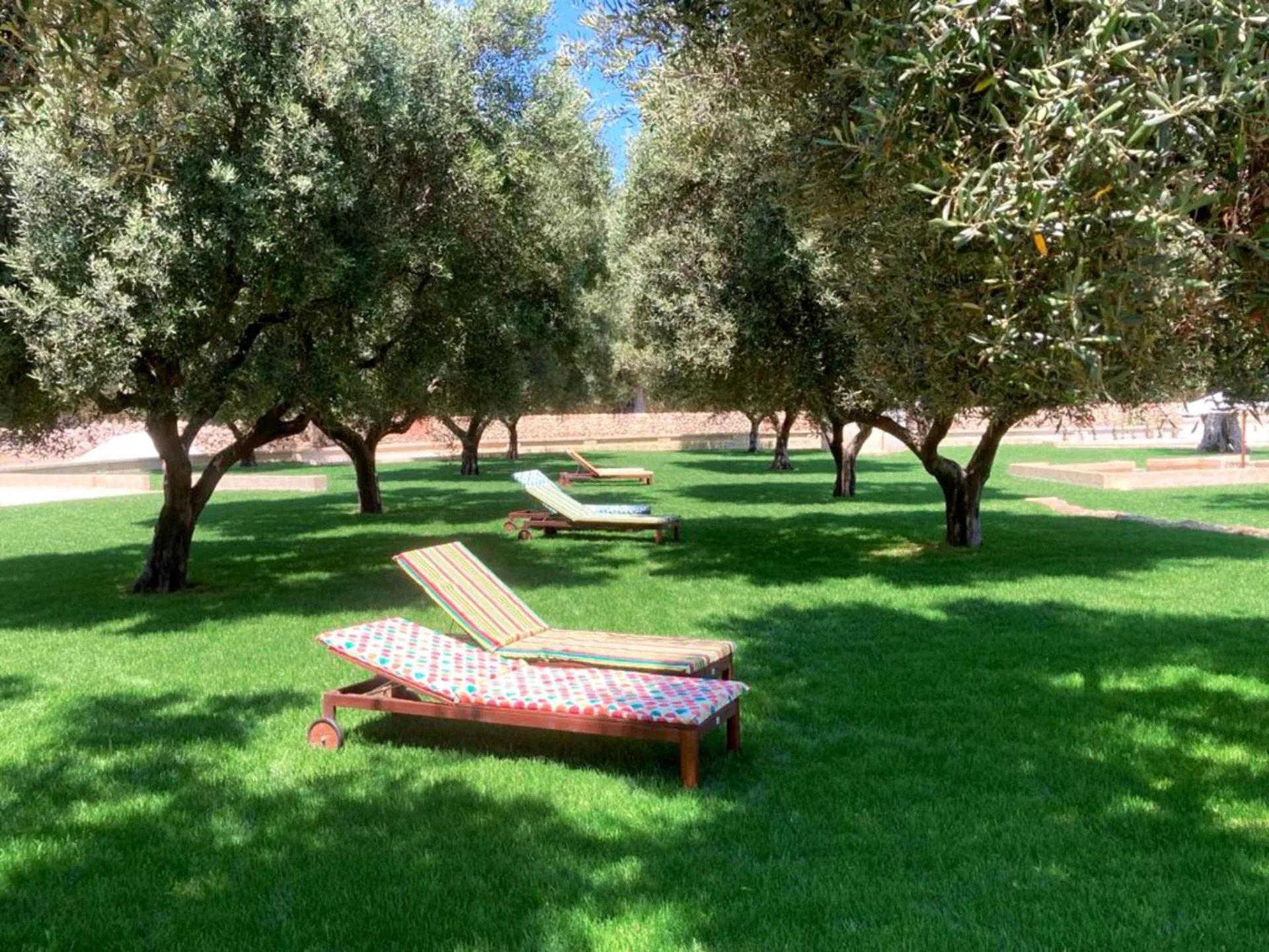 Garden in Boutique Hotel Masseria Sottomasi