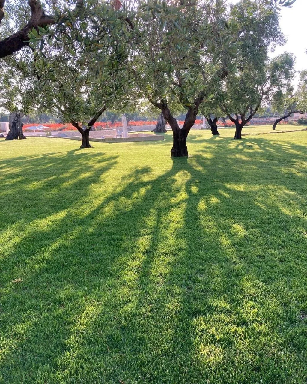 Garden in Boutique Hotel Masseria Sottomasi