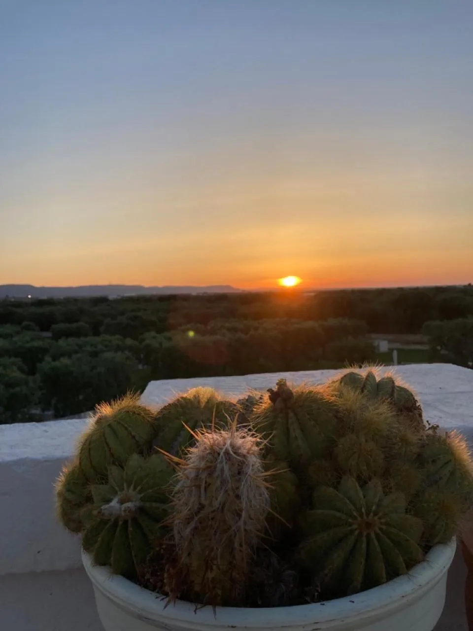 Sunset in Boutique Hotel Masseria Sottomasi