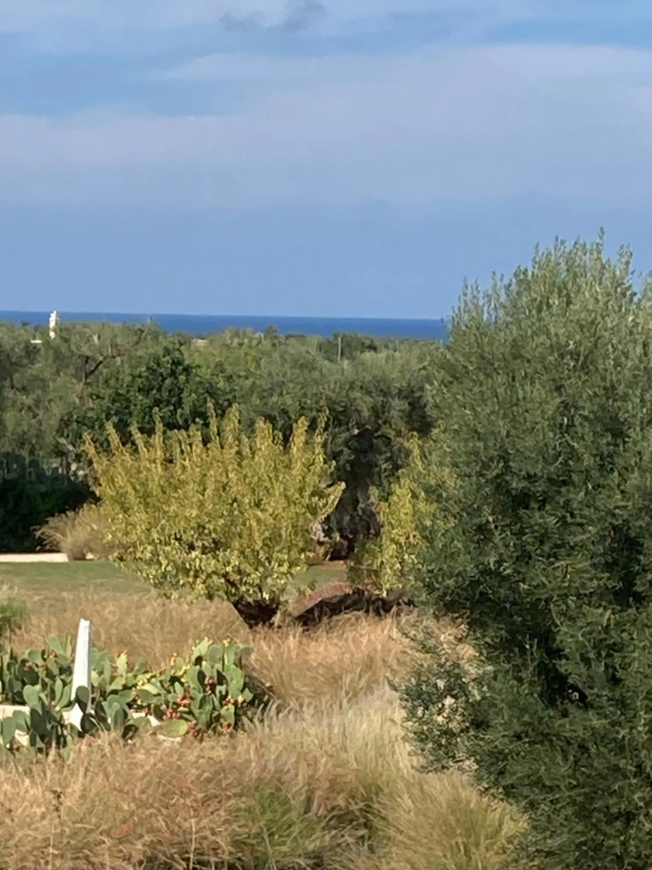 Sea view in Boutique Hotel Masseria Sottomasi