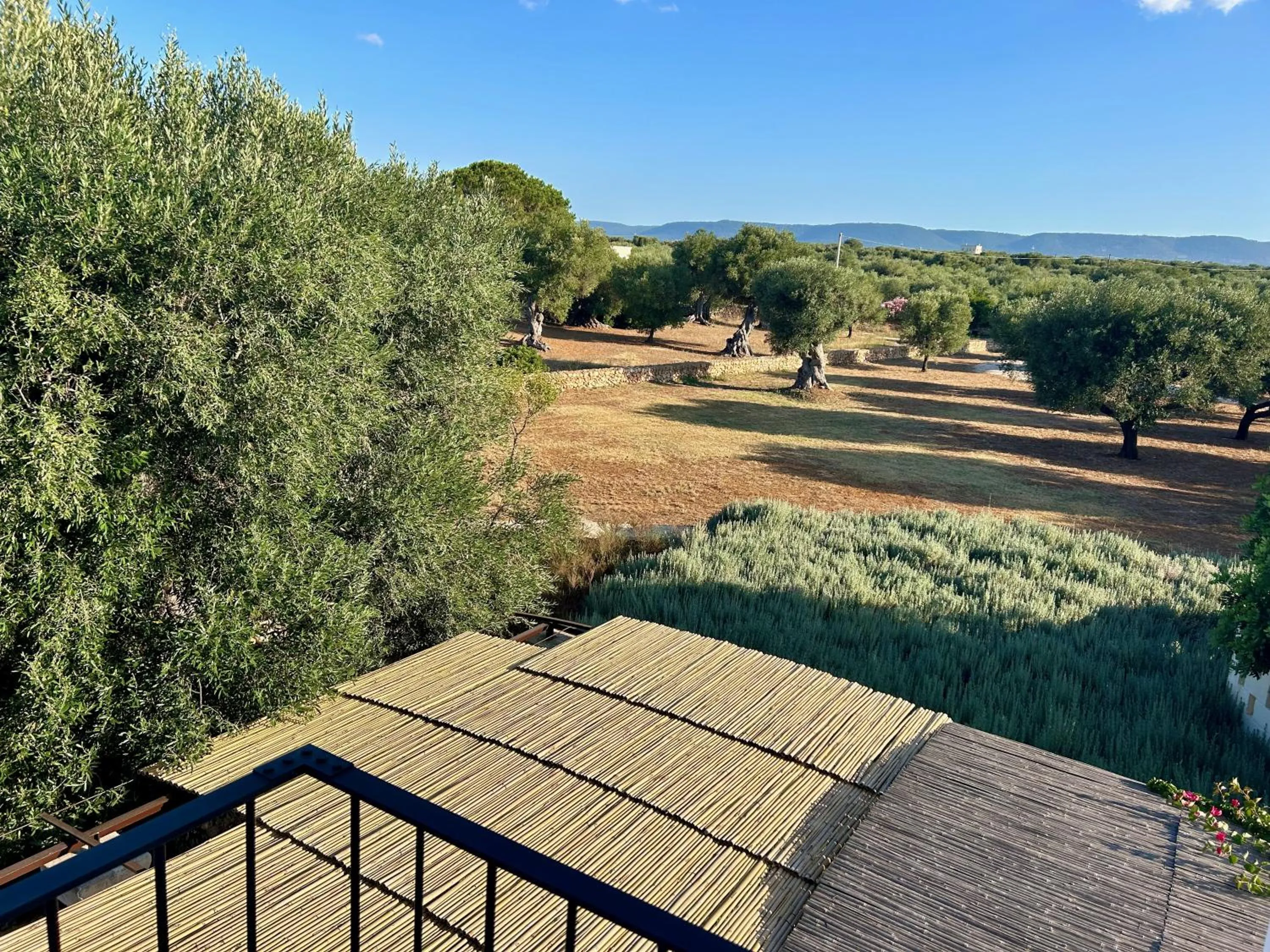 View (from property/room) in Boutique Hotel Masseria Sottomasi