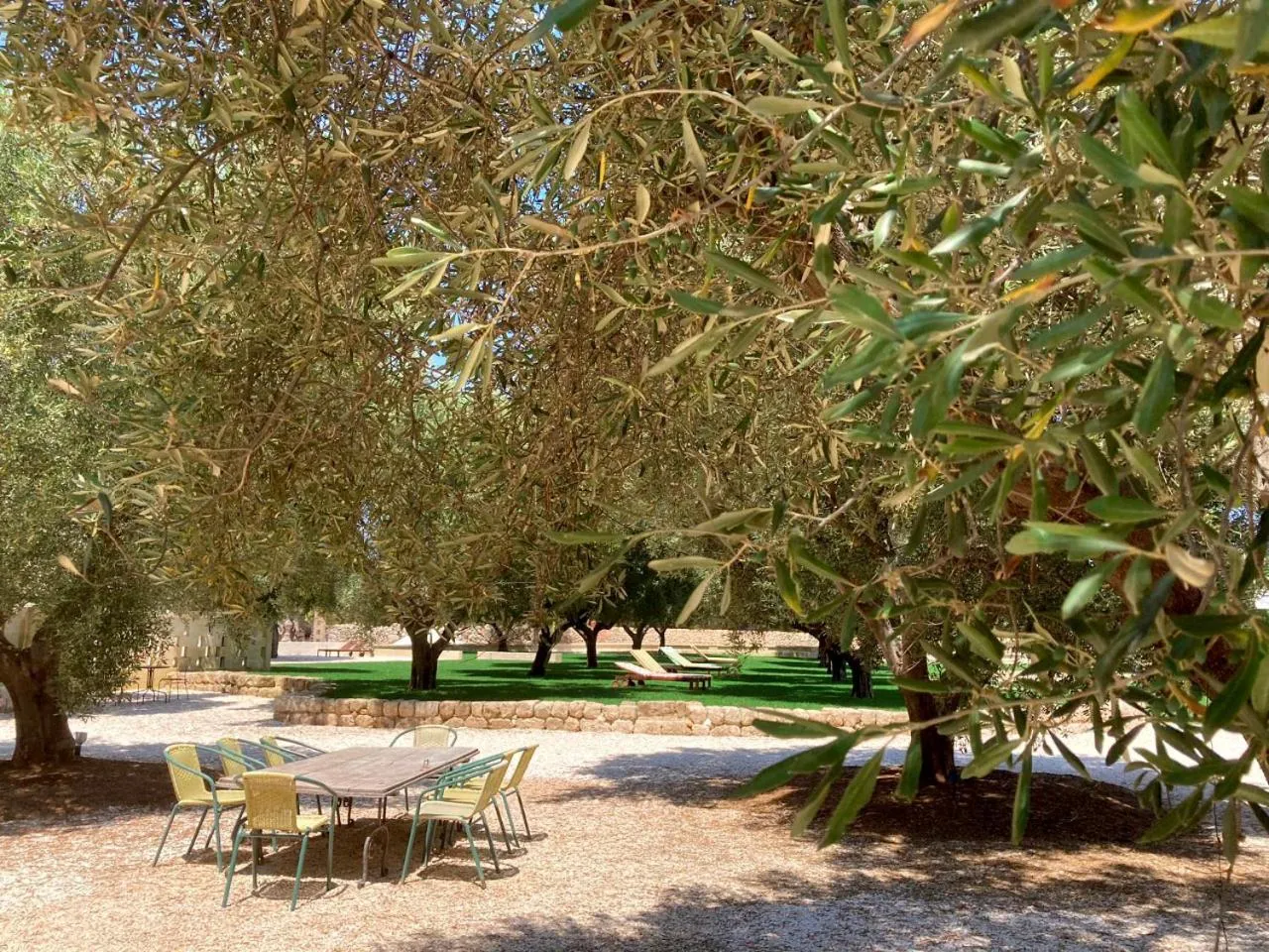 Garden in Boutique Hotel Masseria Sottomasi