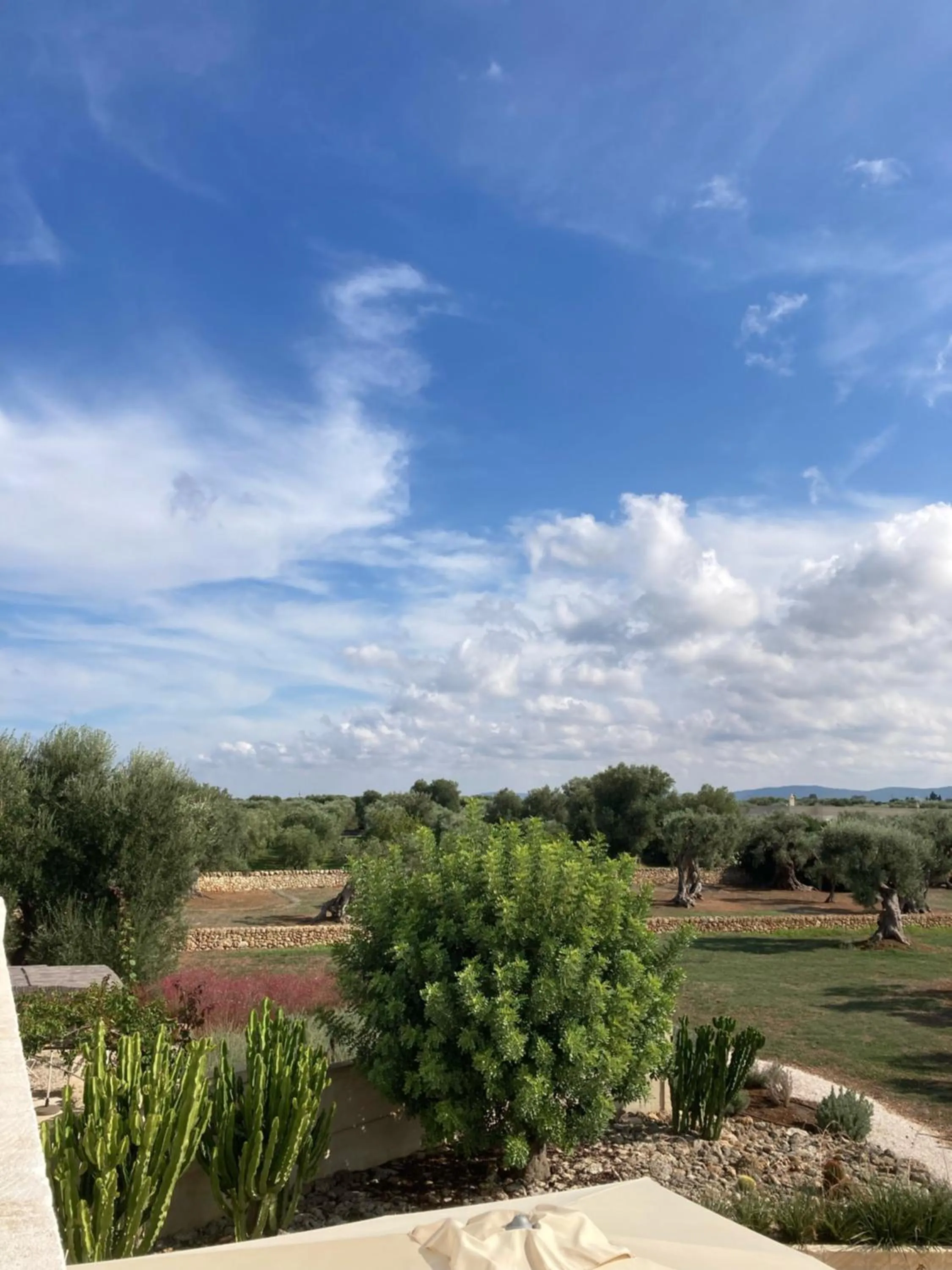 View (from property/room) in Boutique Hotel Masseria Sottomasi