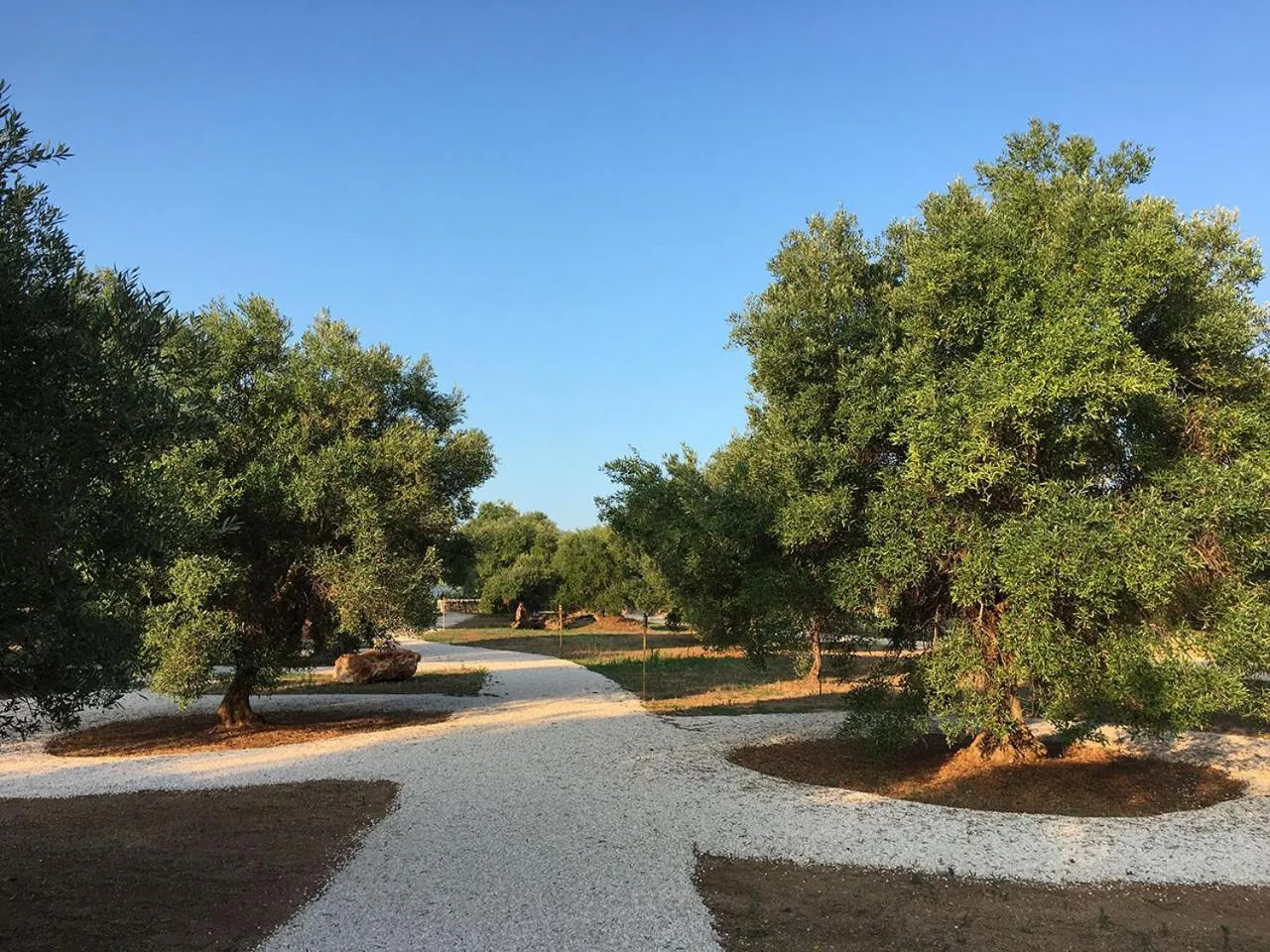 Garden in Boutique Hotel Masseria Sottomasi