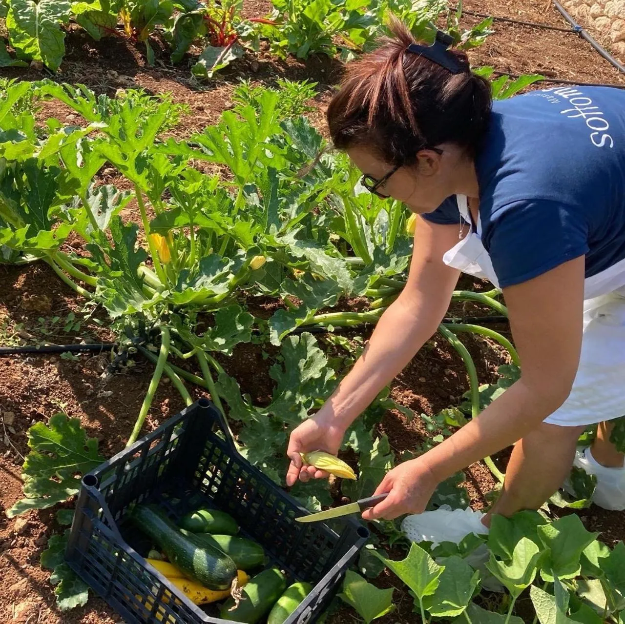 Garden in Boutique Hotel Masseria Sottomasi