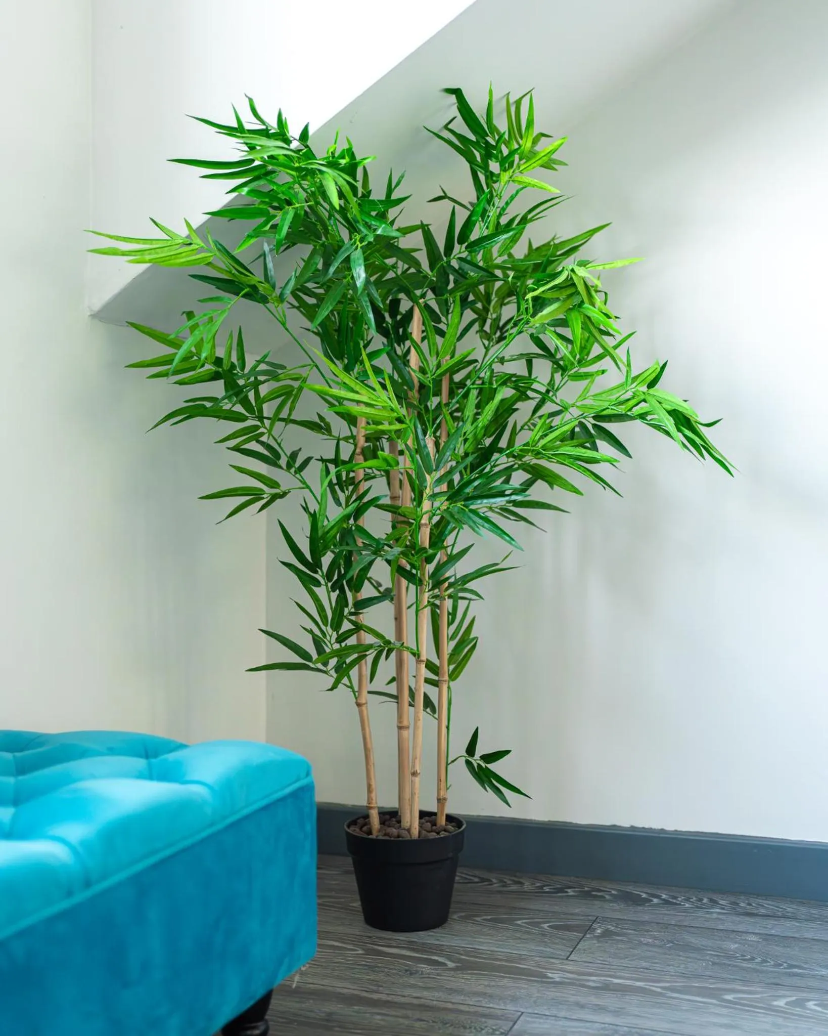 Vibe Holiday Apartments