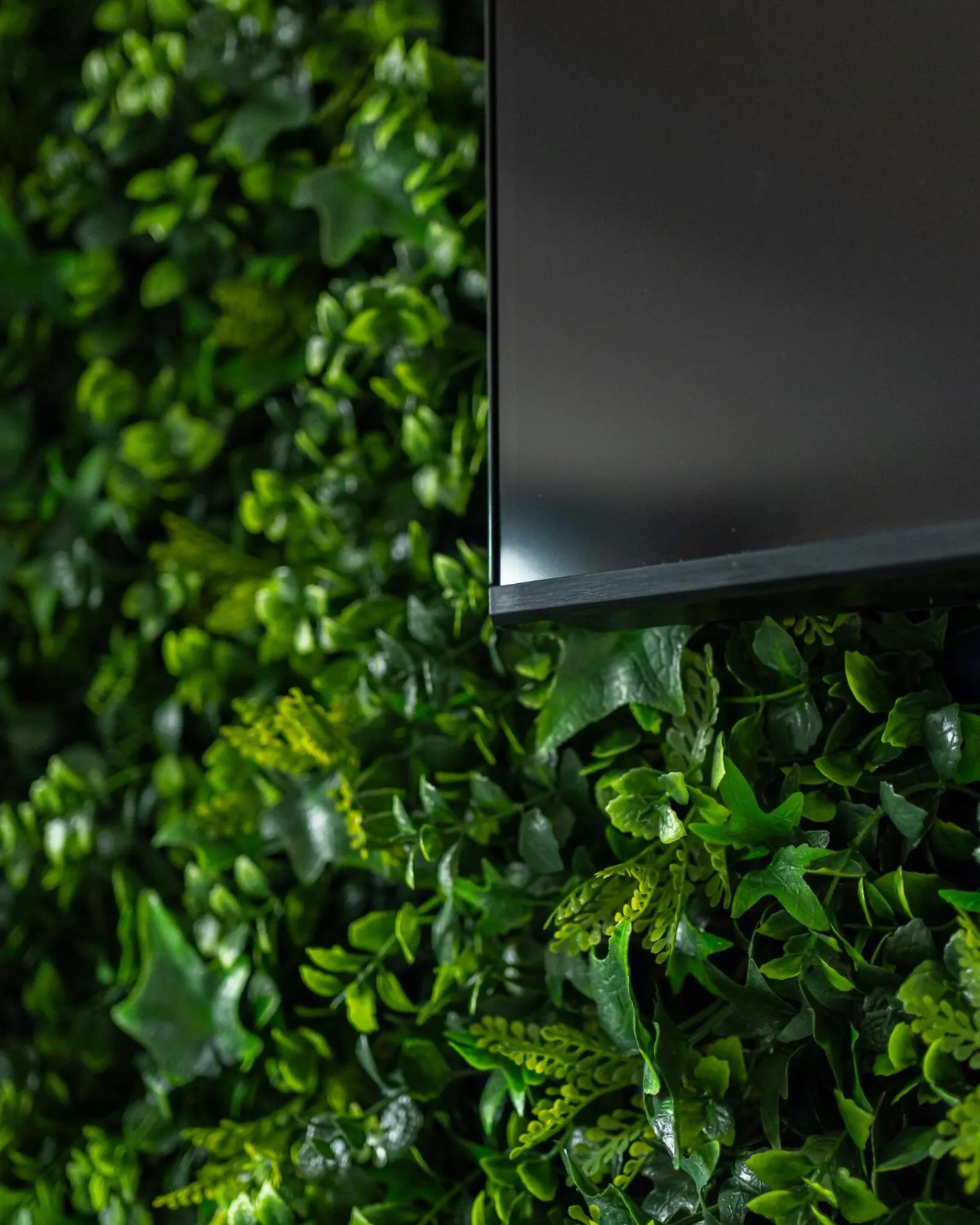 Vibe Holiday Apartments