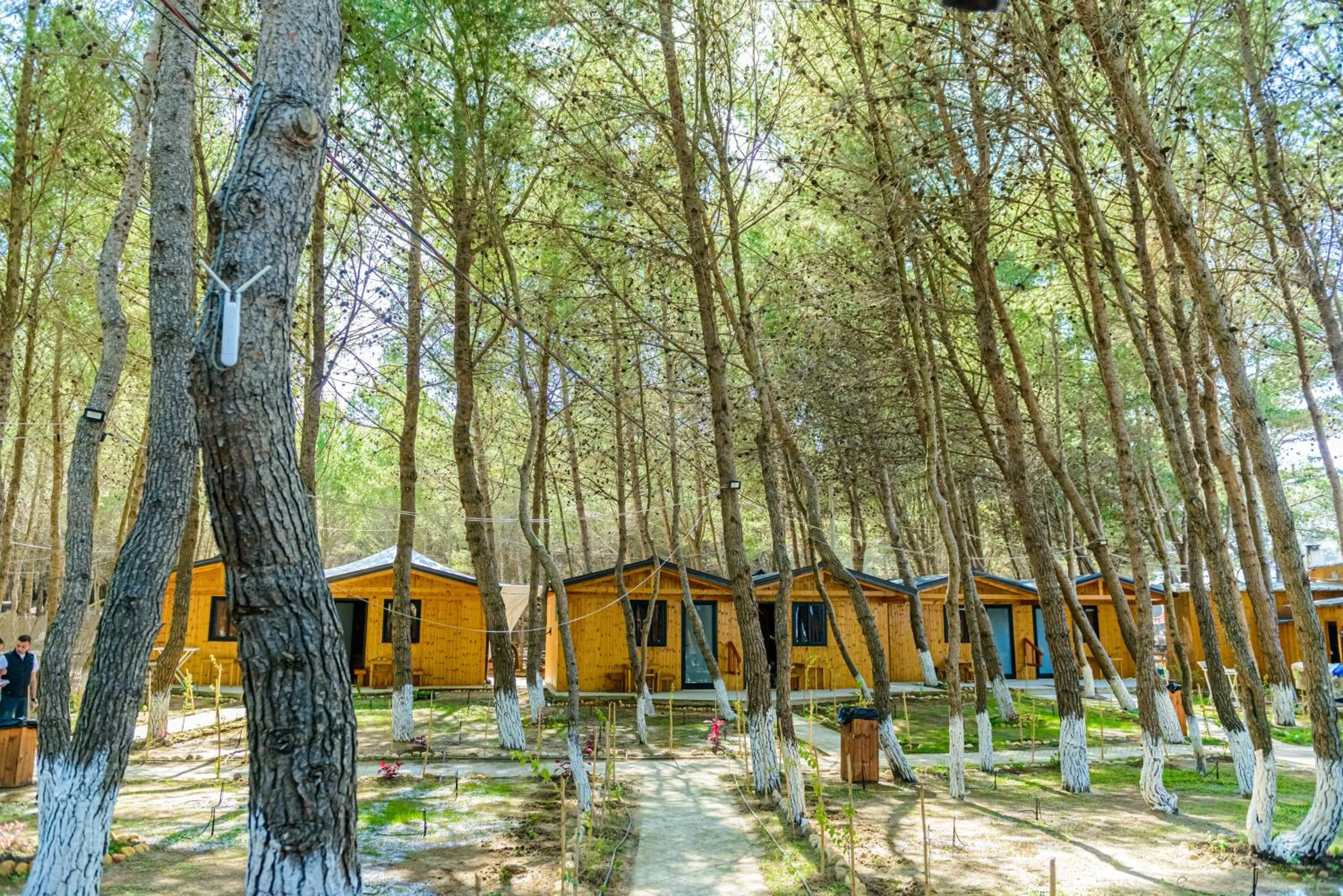 Property building in ECUADOR Resort