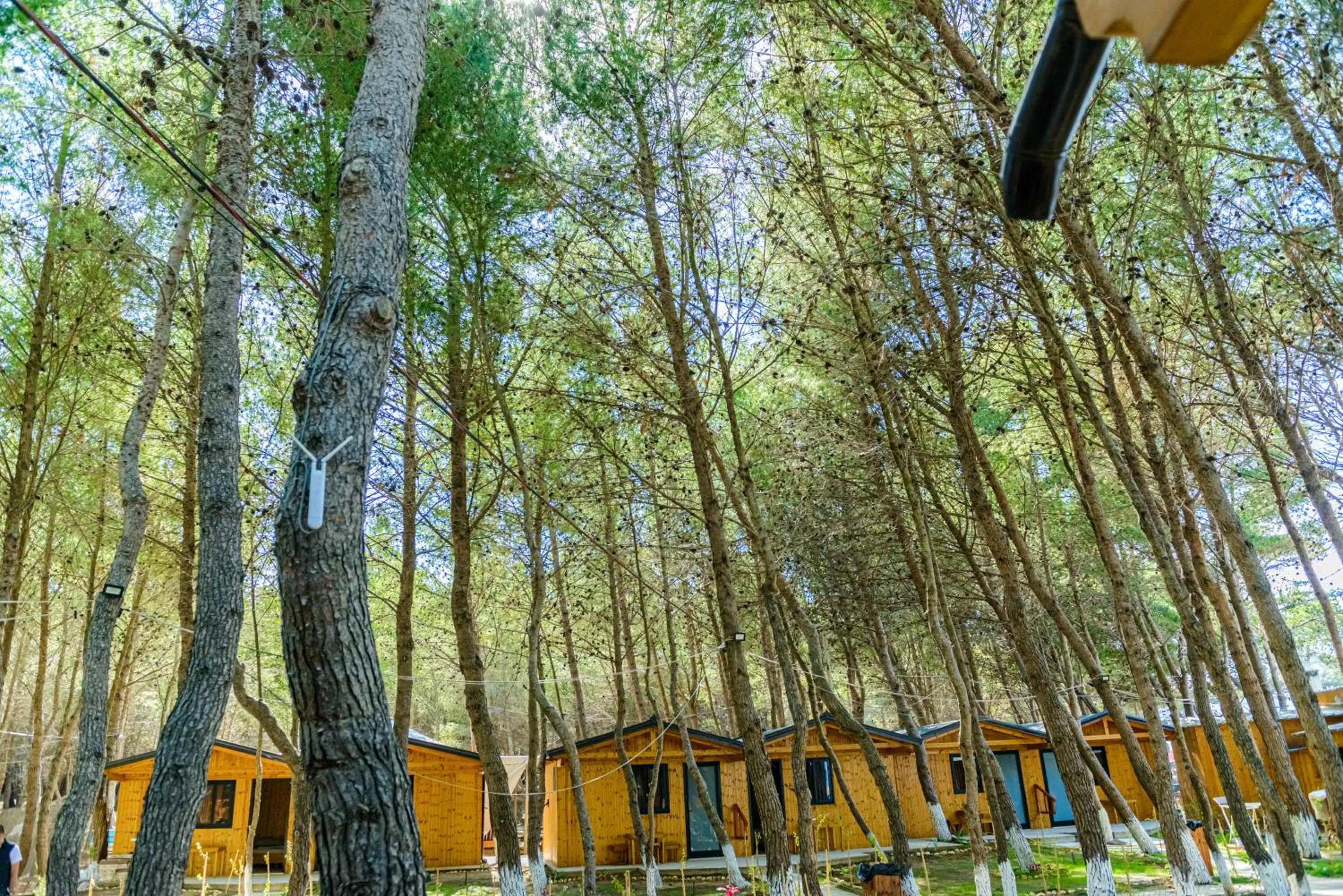 Garden in ECUADOR Resort