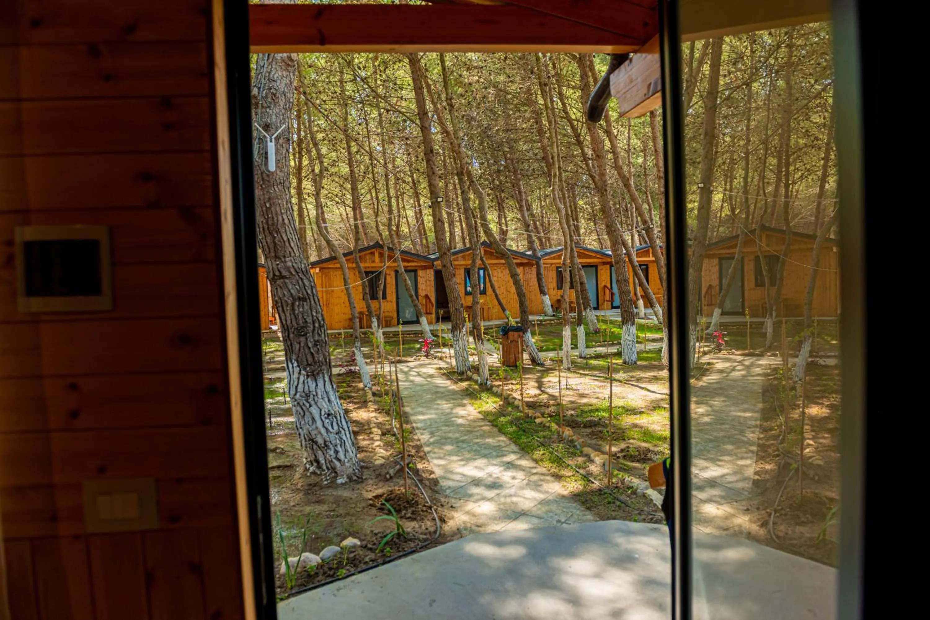 Garden view in ECUADOR Resort