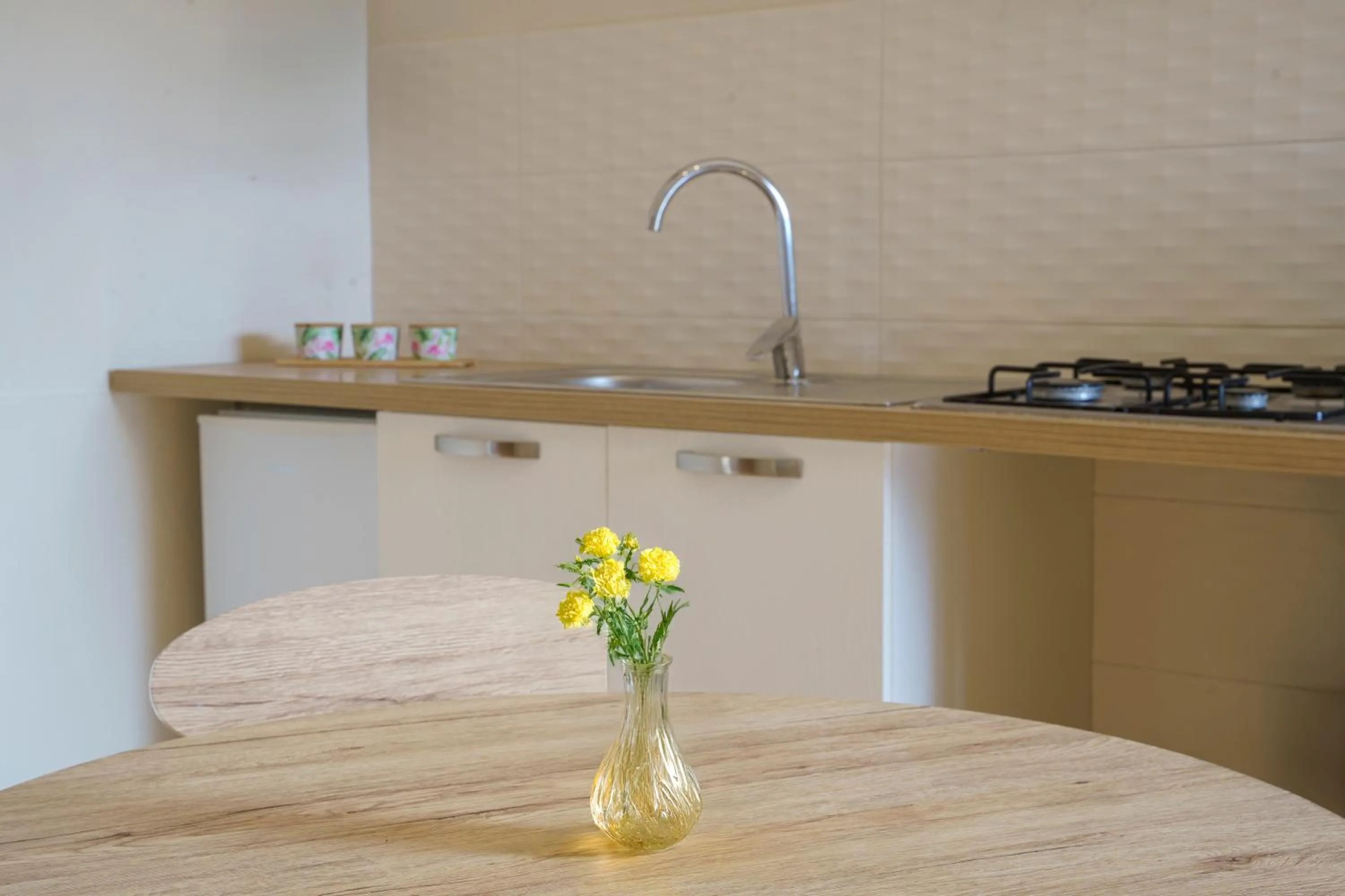 Kitchen or kitchenette in Il Panorama Housing Cilento