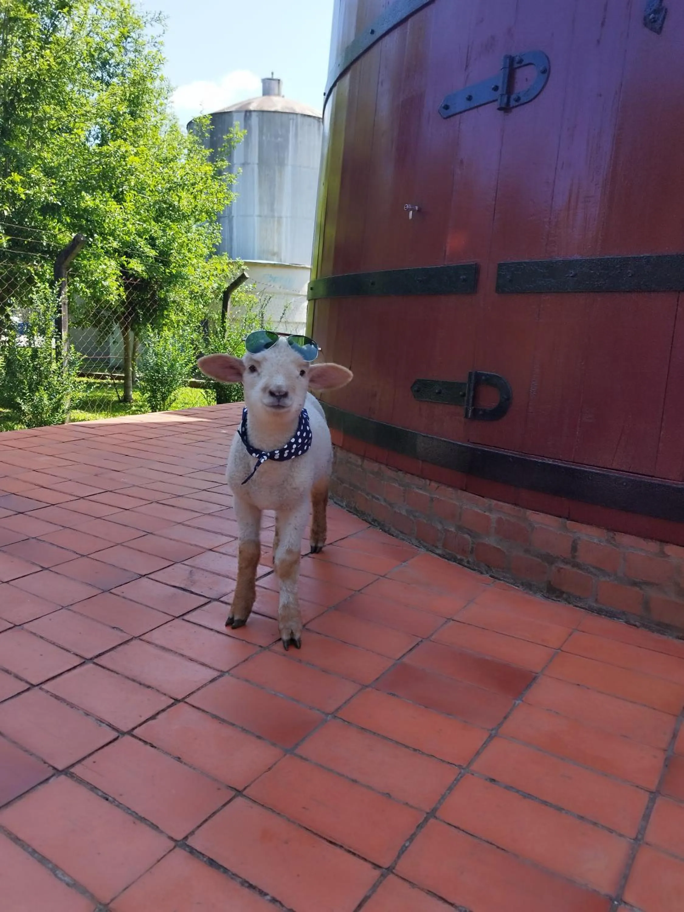 Pousada Botte di Vino