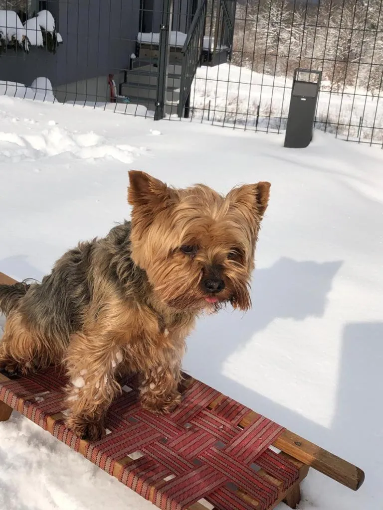 Pets in B&B Villa Dolina Plitvice