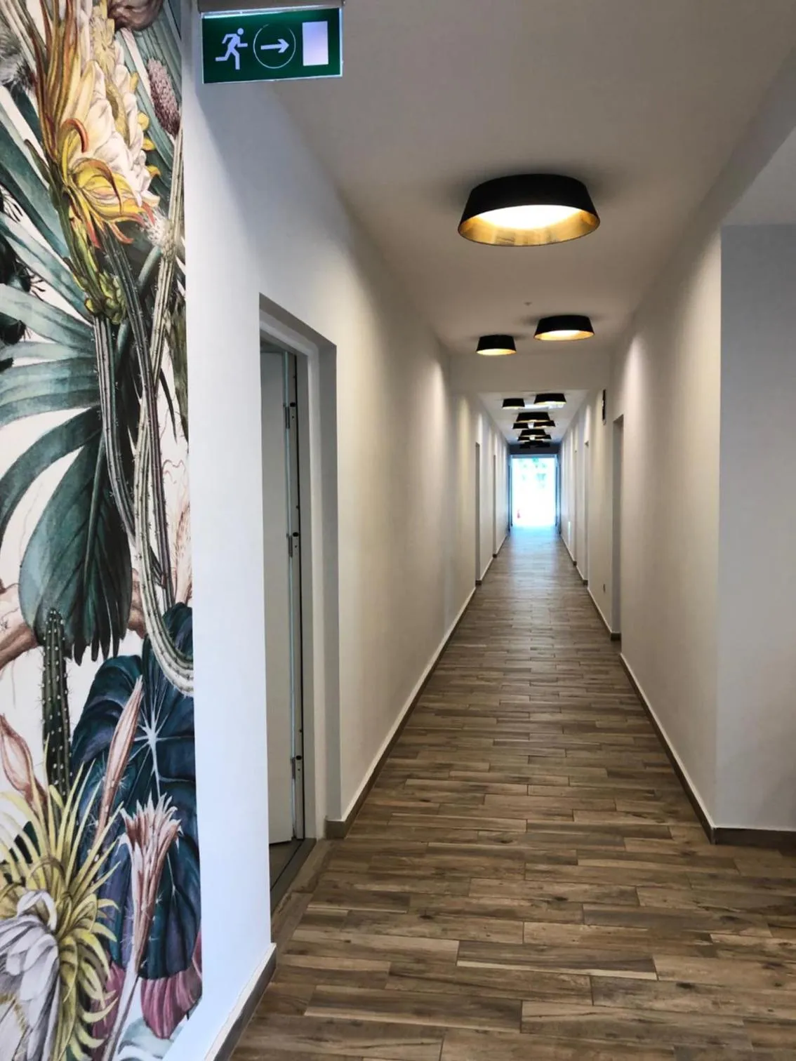 Other in Napsugár Club és Panzió