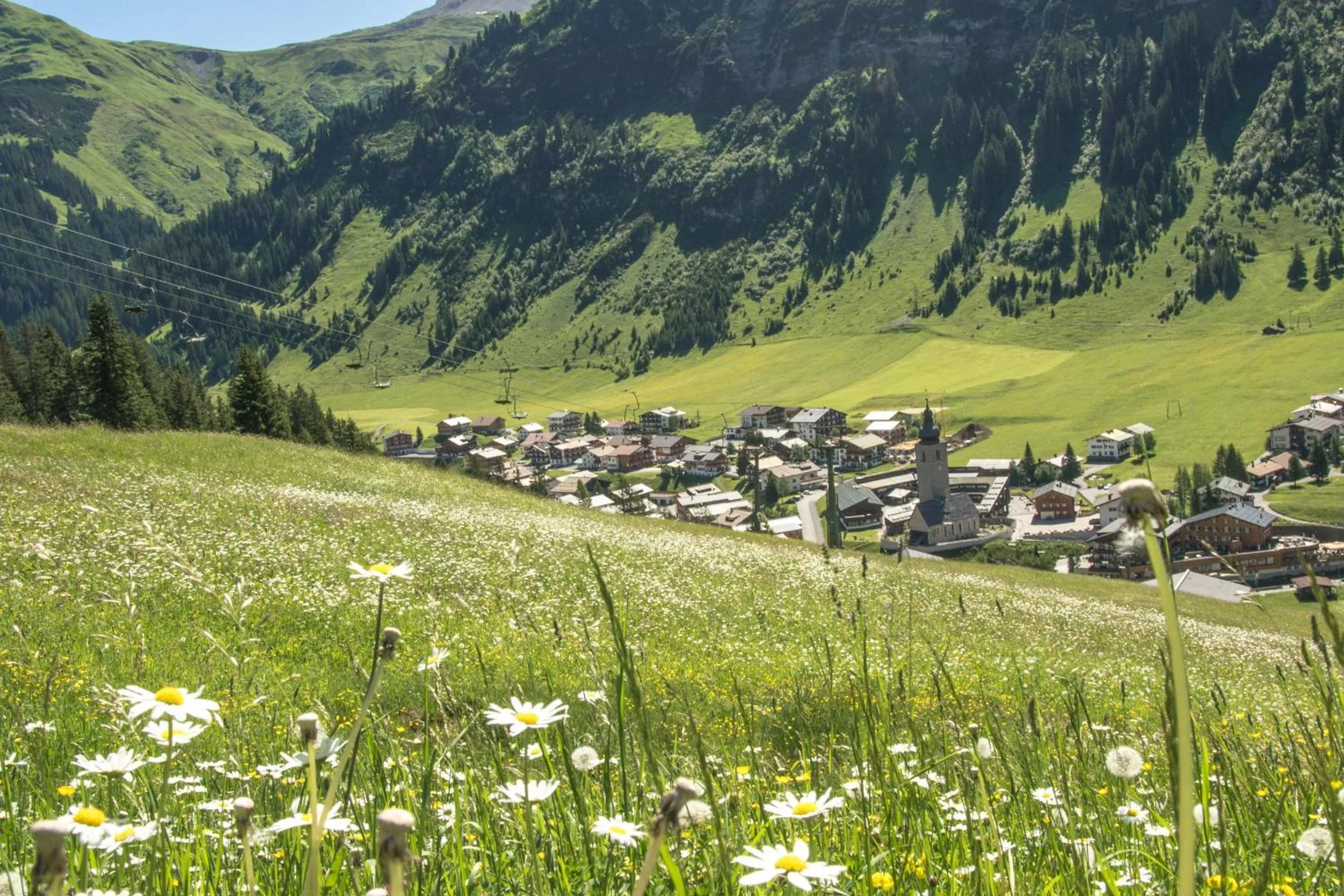 Burgi's - Adults only