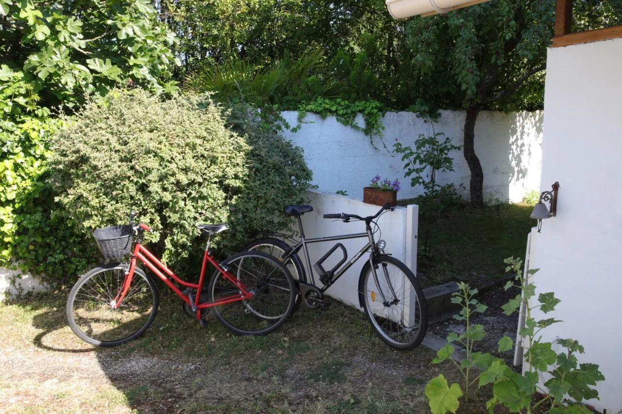 Activities in La Venelle de Jéricho