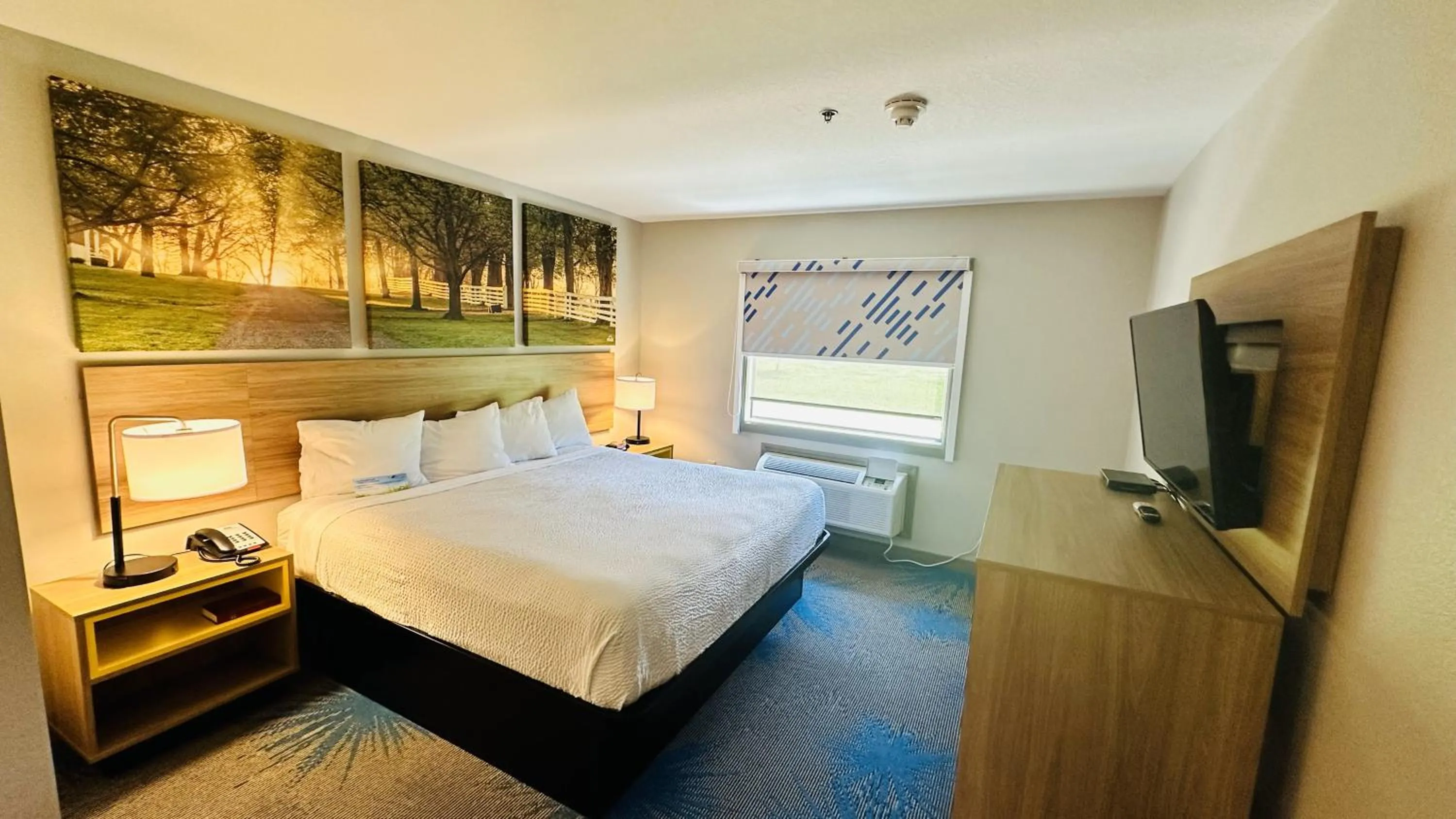 Bed in Days Inn & Suites by Wyndham Wynne