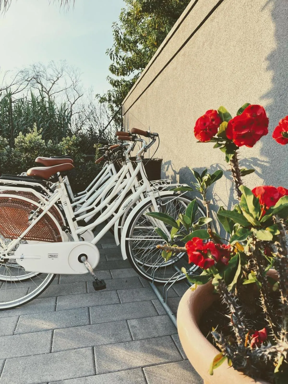 Cycling in Santantonioresort