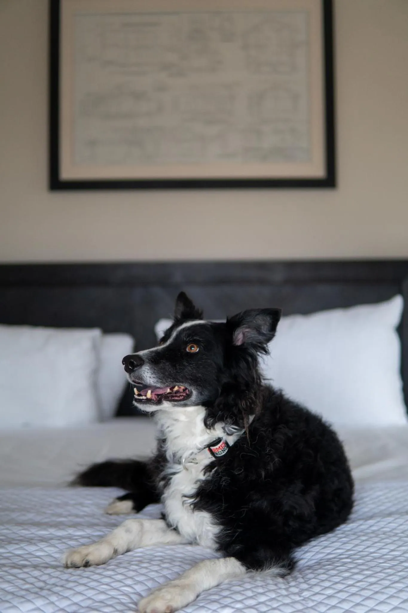 Bed in Inn at Crestwood