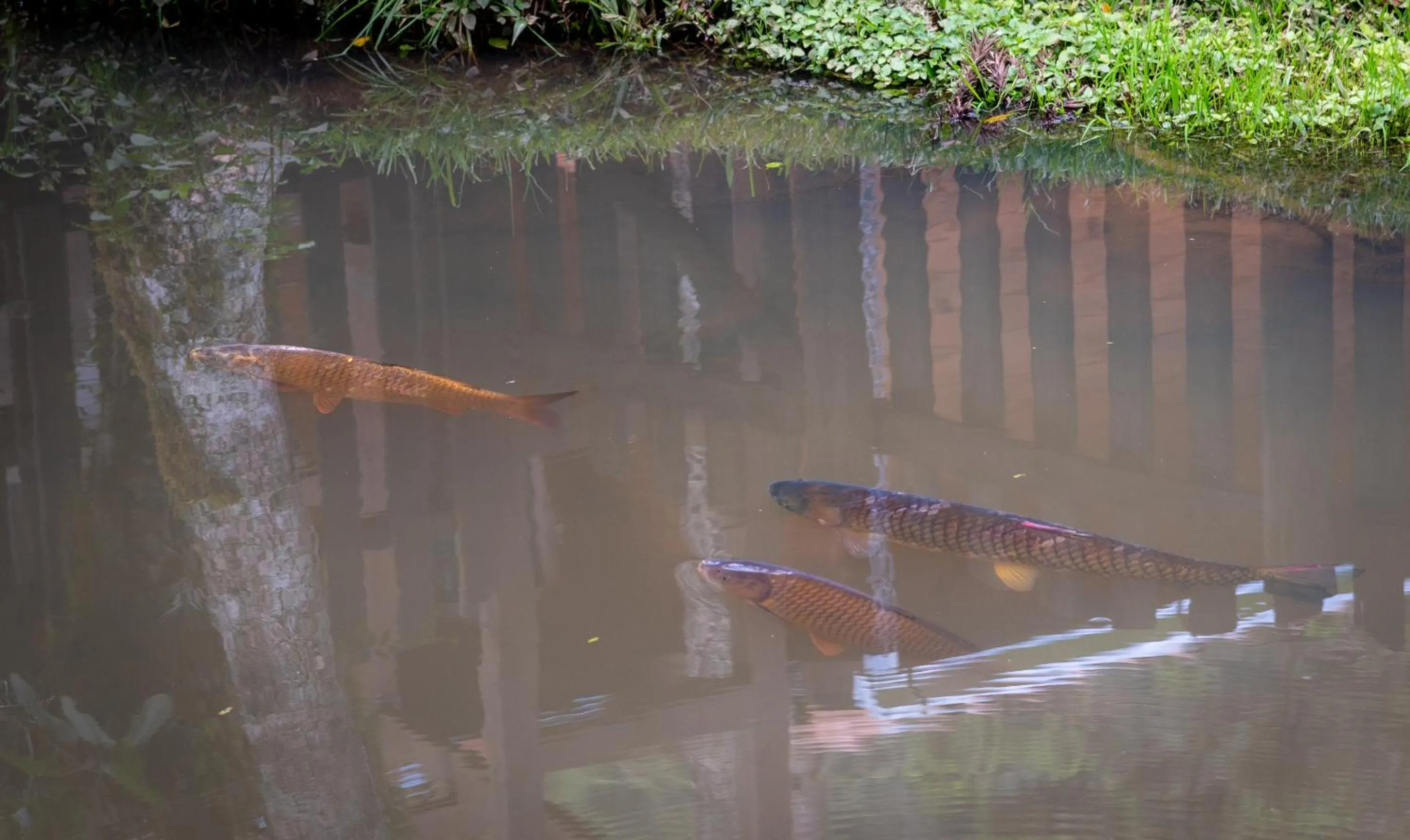 Lake view in Pousada Caminhos da Natureza