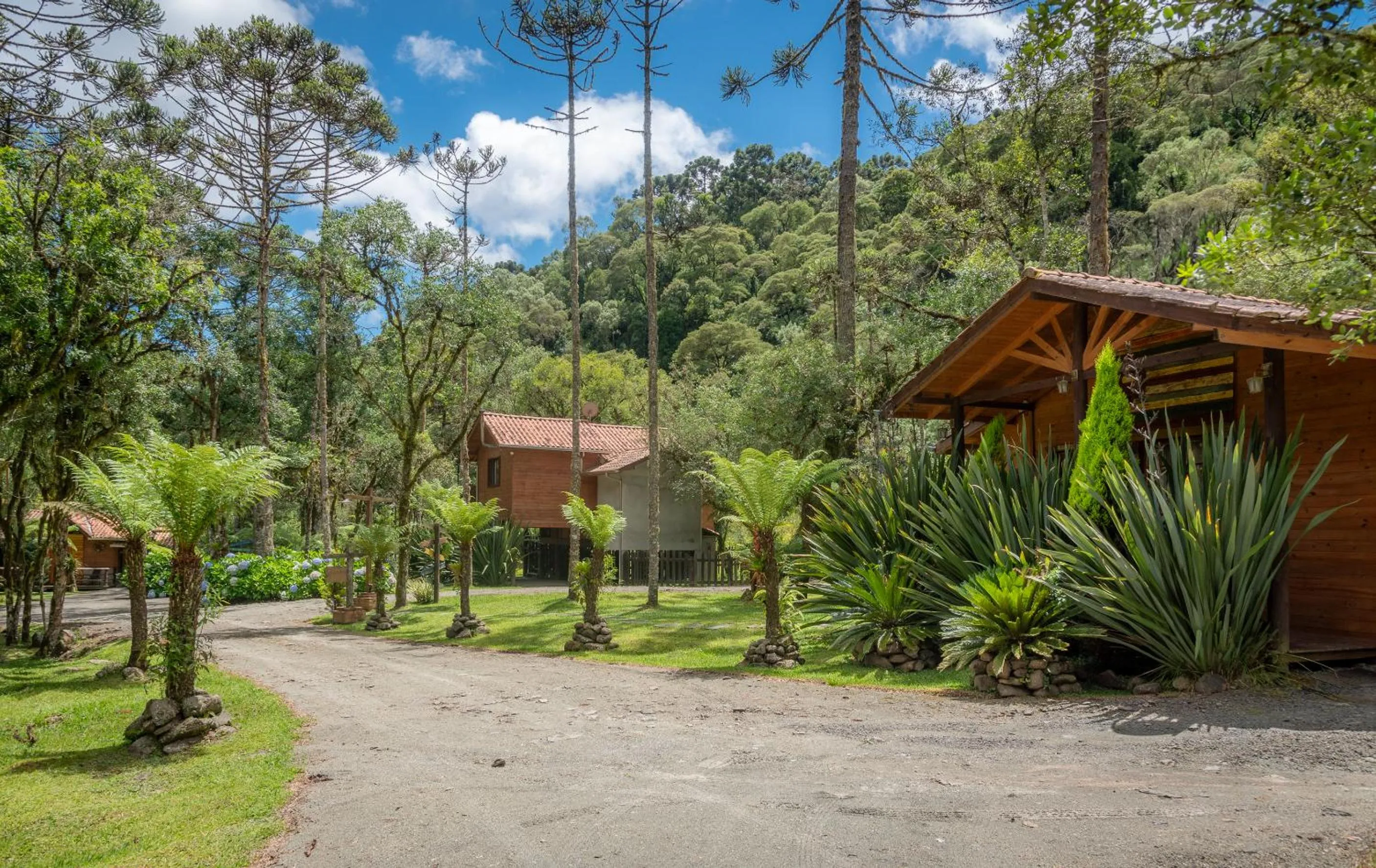 Natural landscape in Pousada Caminhos da Natureza