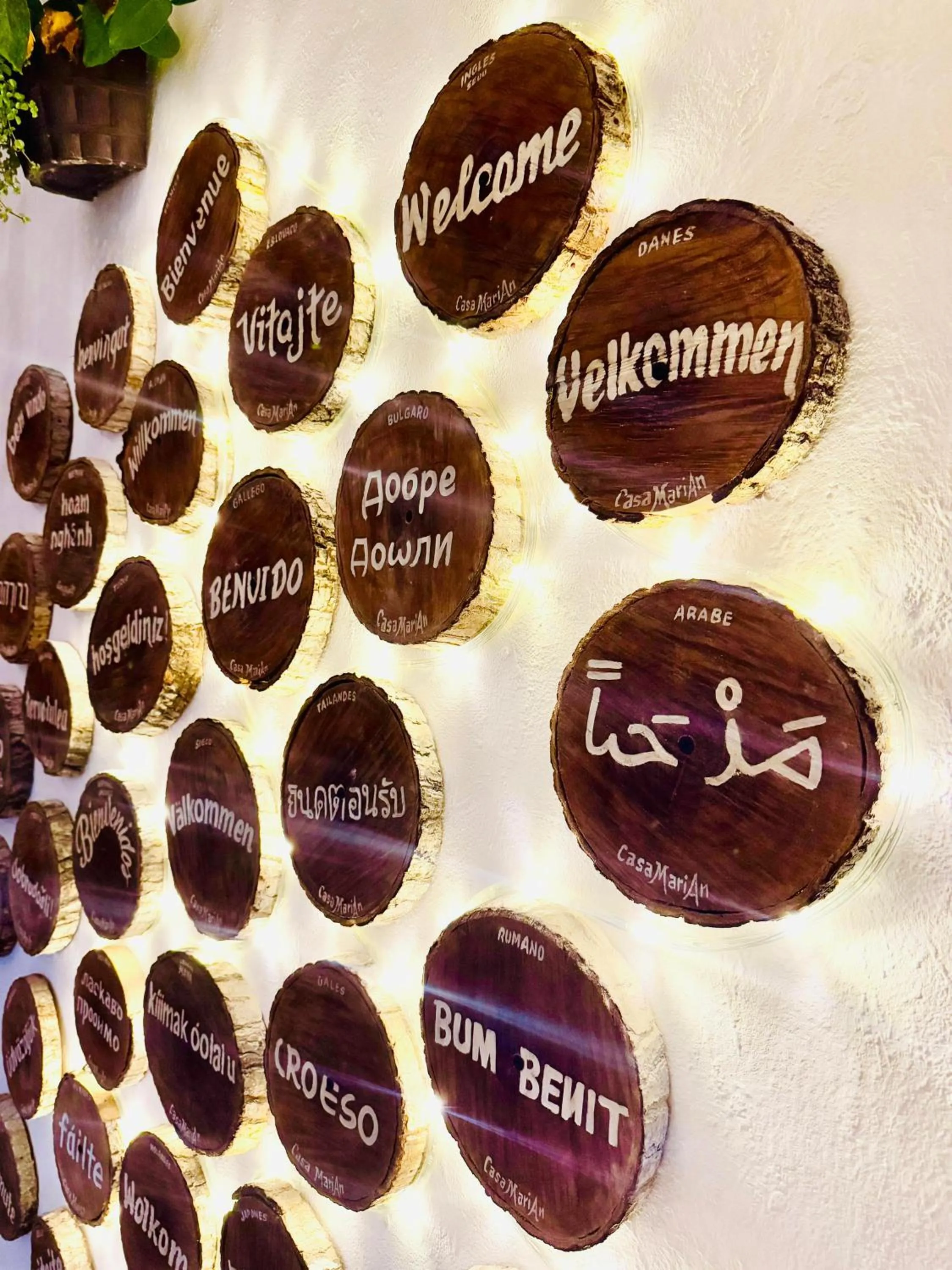 Property logo or sign in Hotel AKBAL Holbox