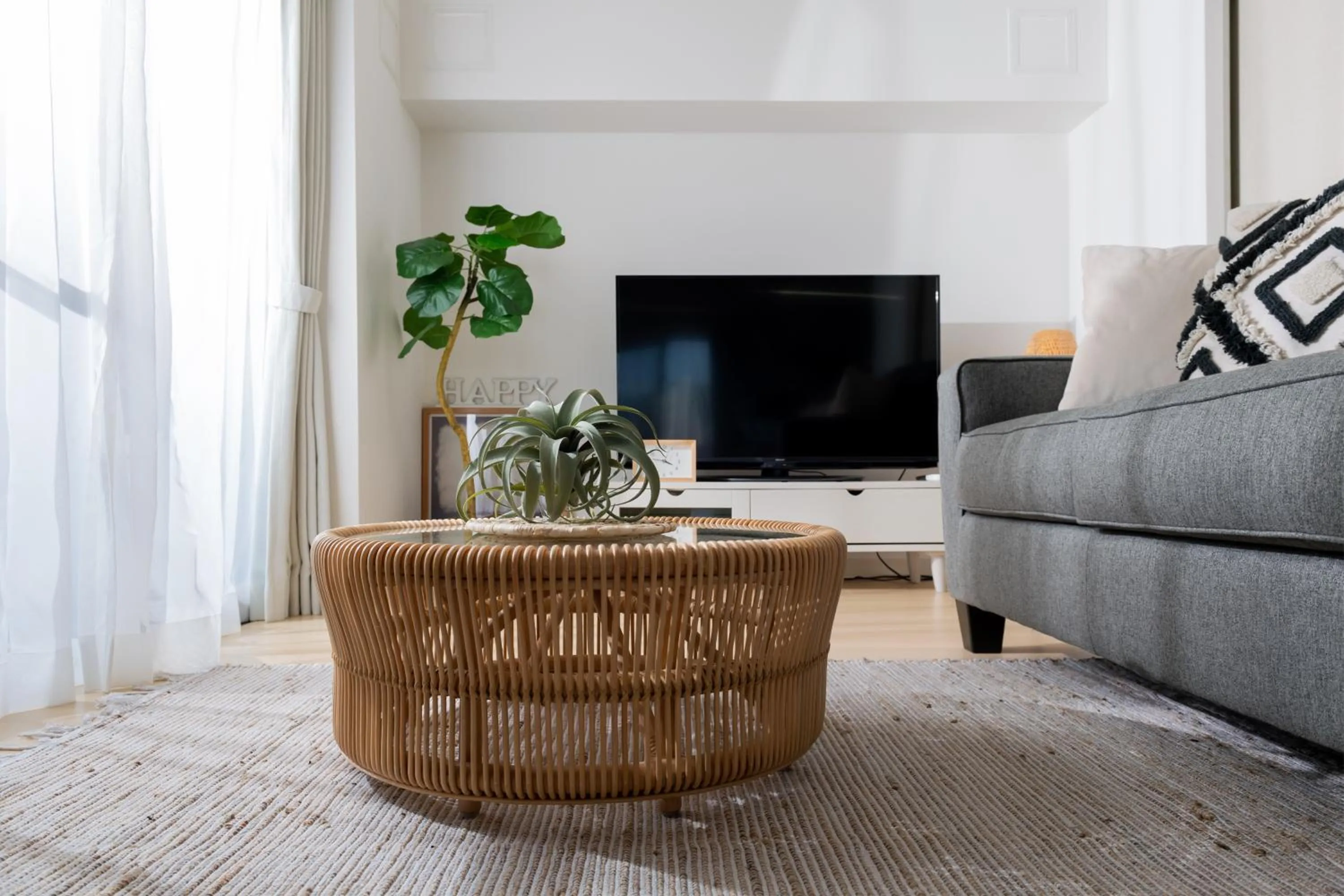 TV and multimedia in Little Santa