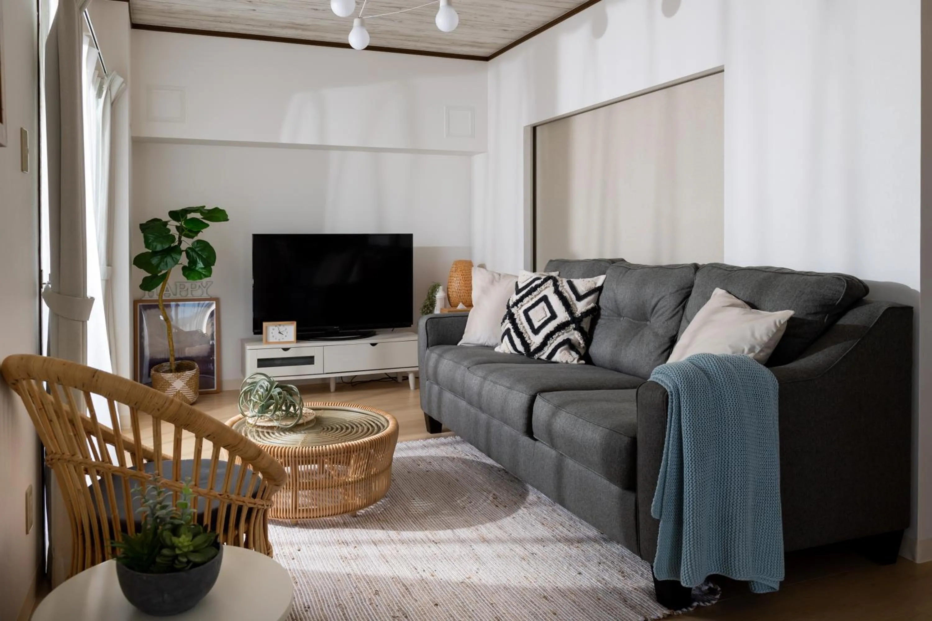 TV and multimedia in Little Santa