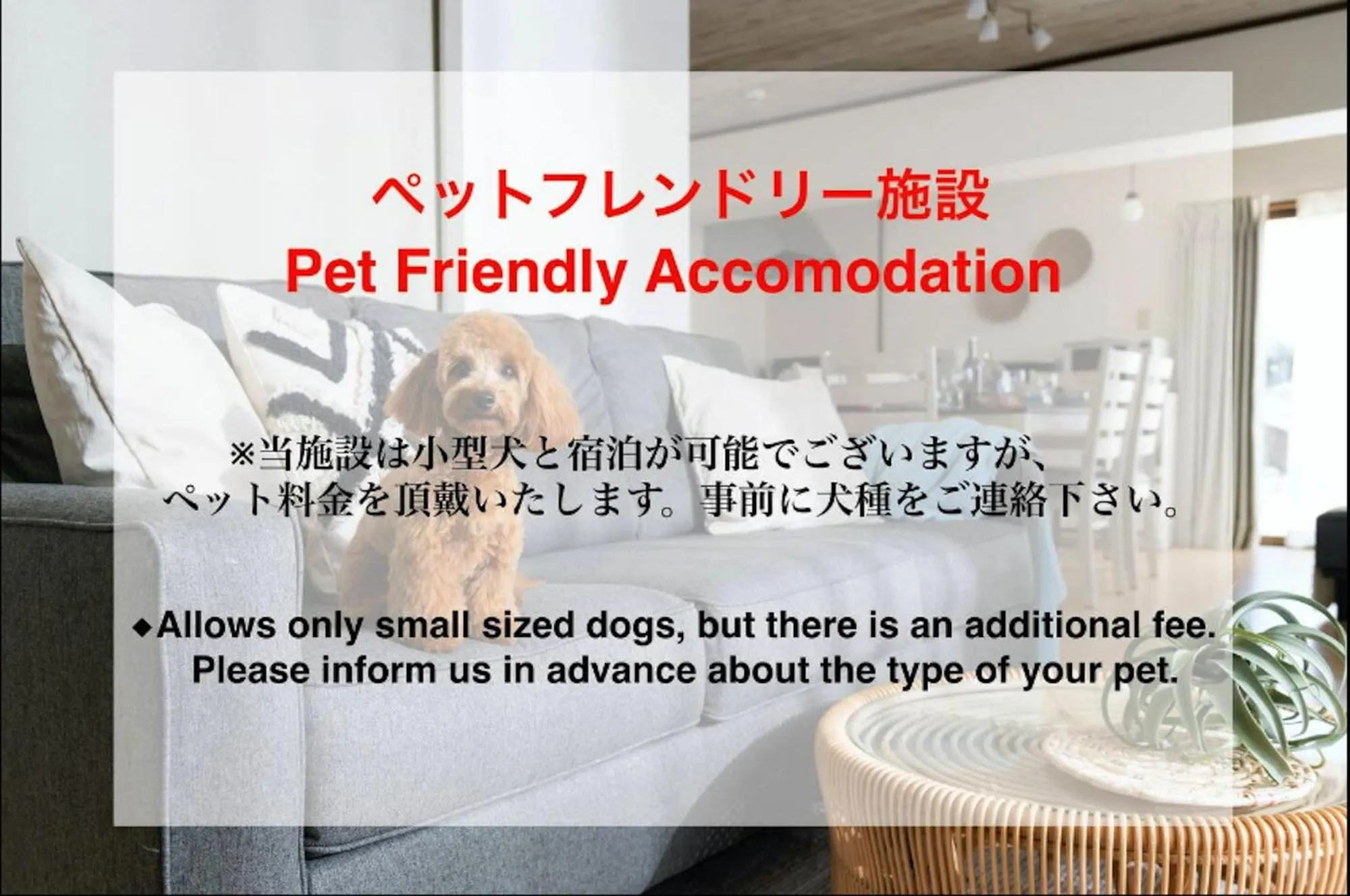 Animals in Little Santa