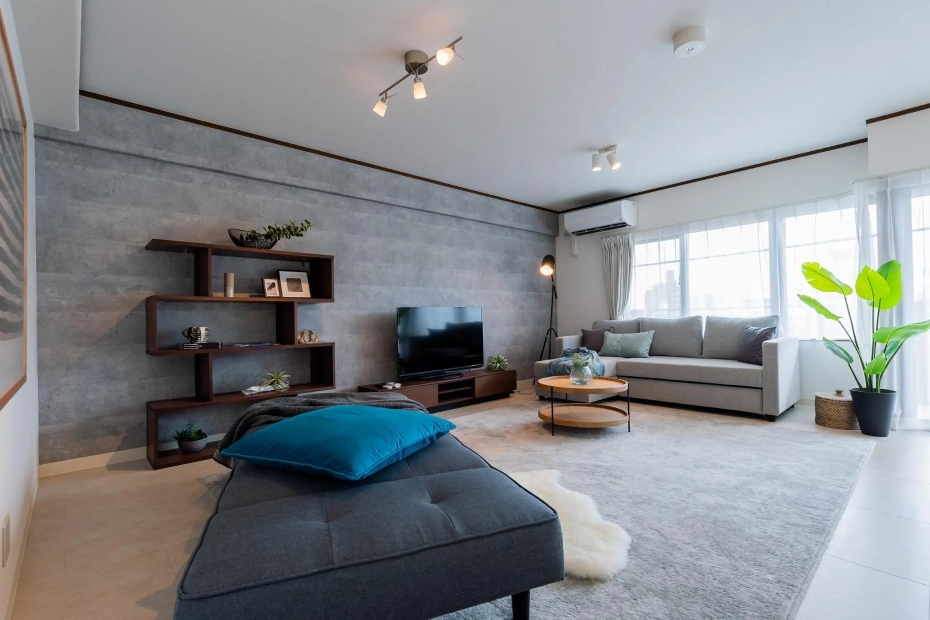 TV and multimedia in Little Santa