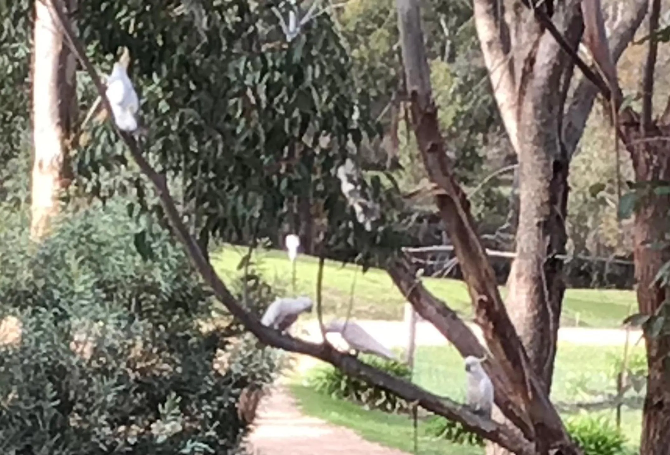 Stephanie’s Country Cottages