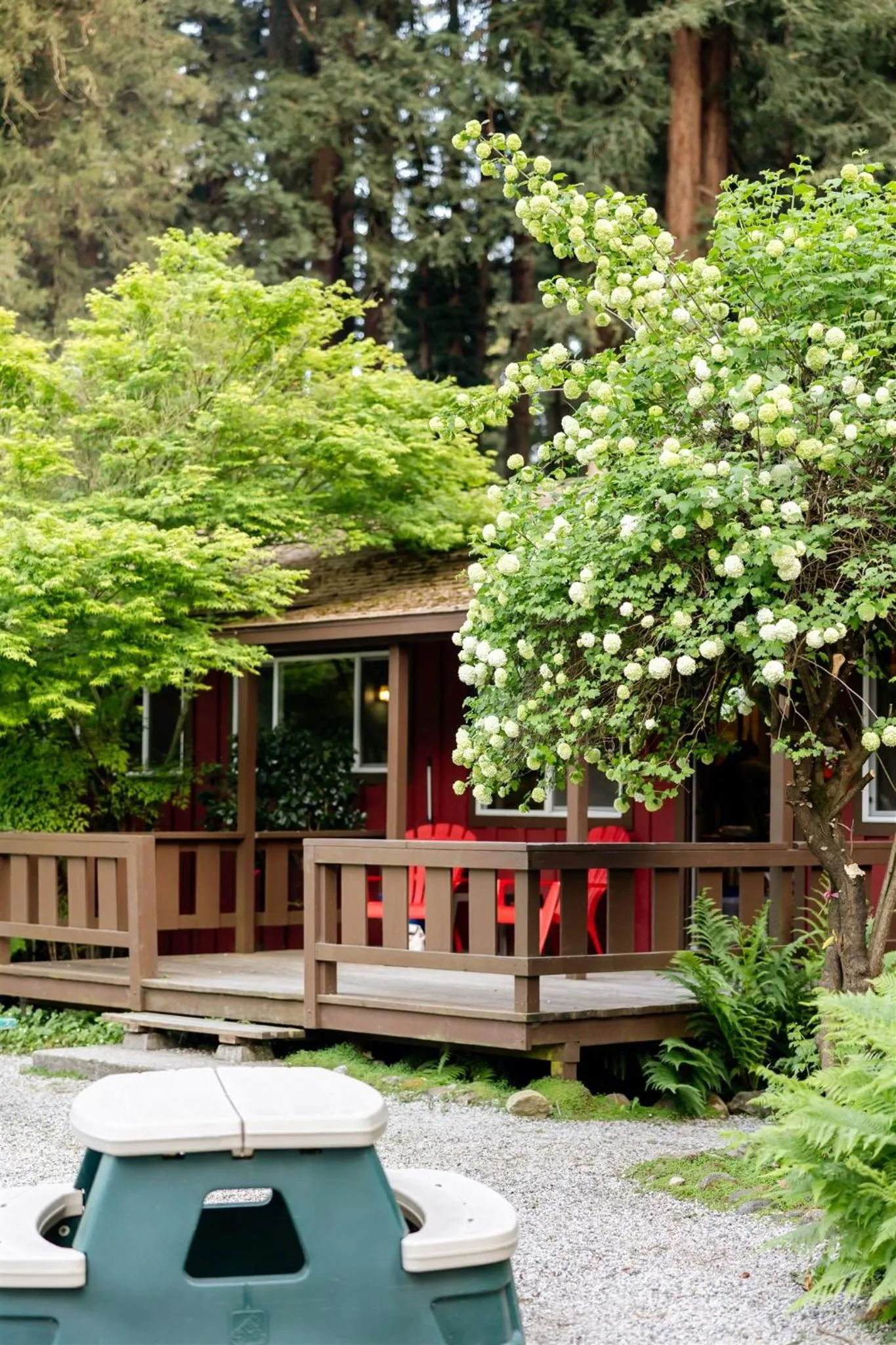 Property building in Fern River Resort