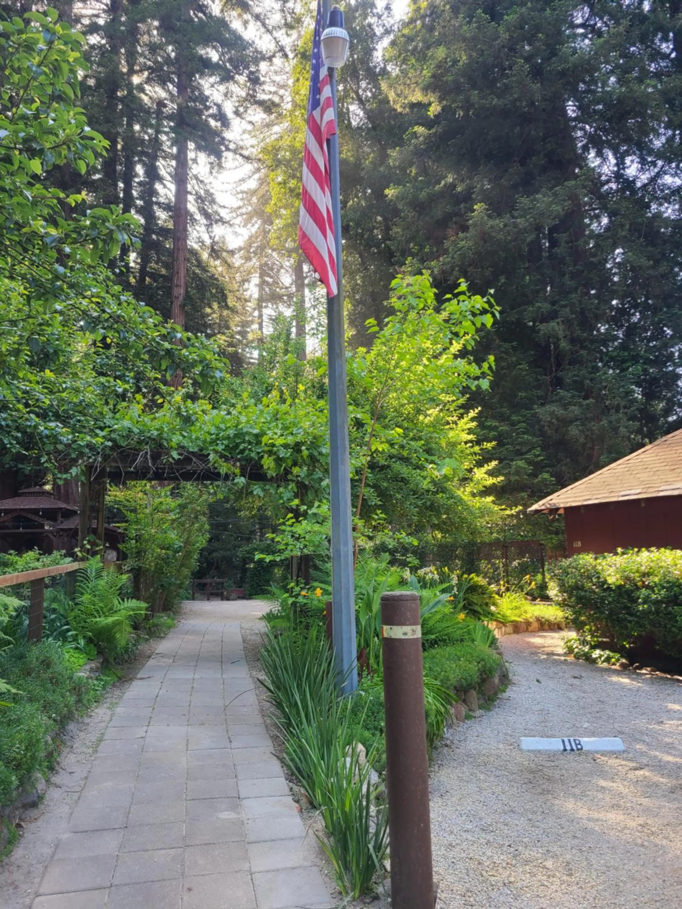 Natural landscape in Fern River Resort