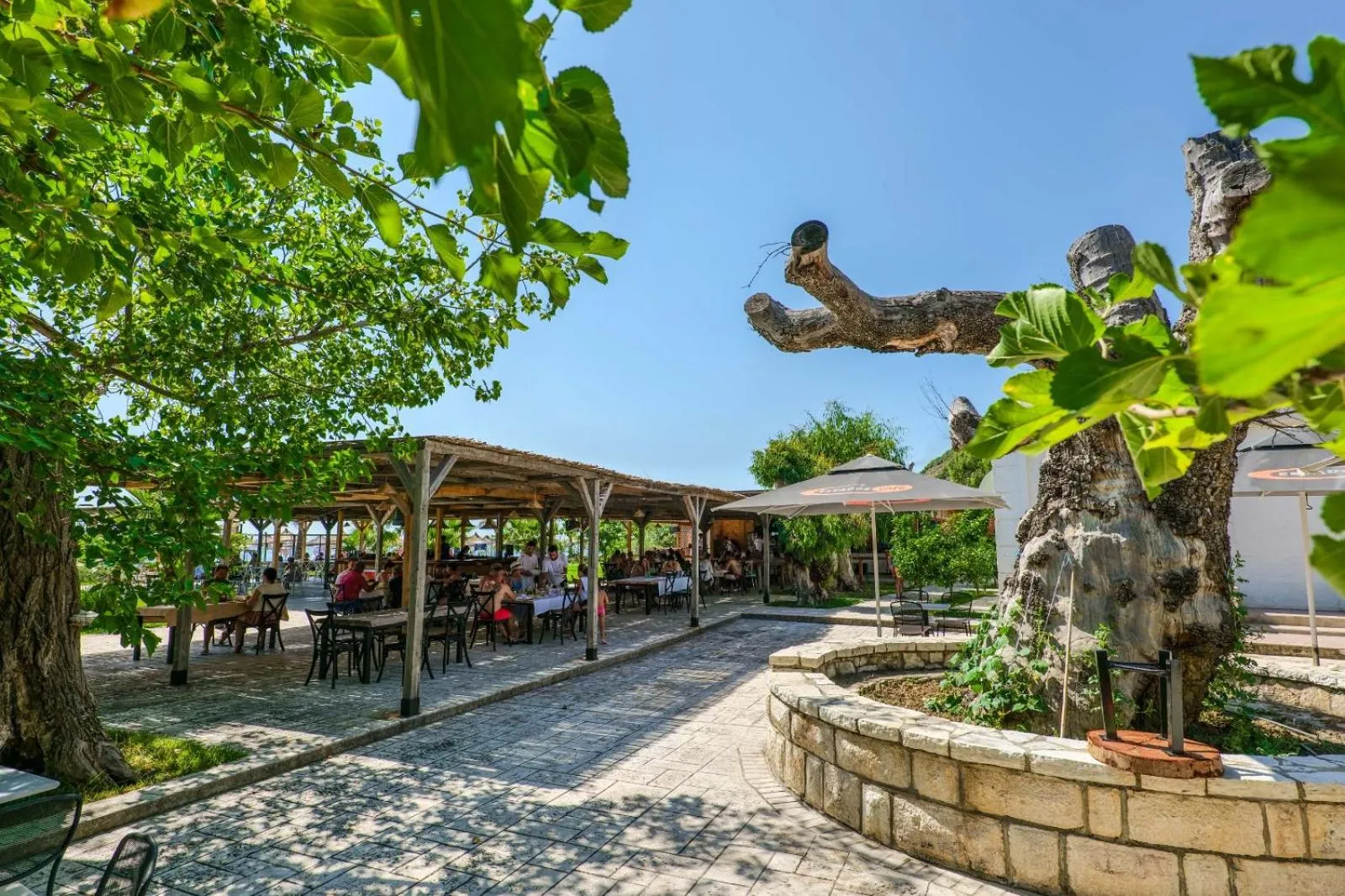 Garden in Bunec Beach Resort
